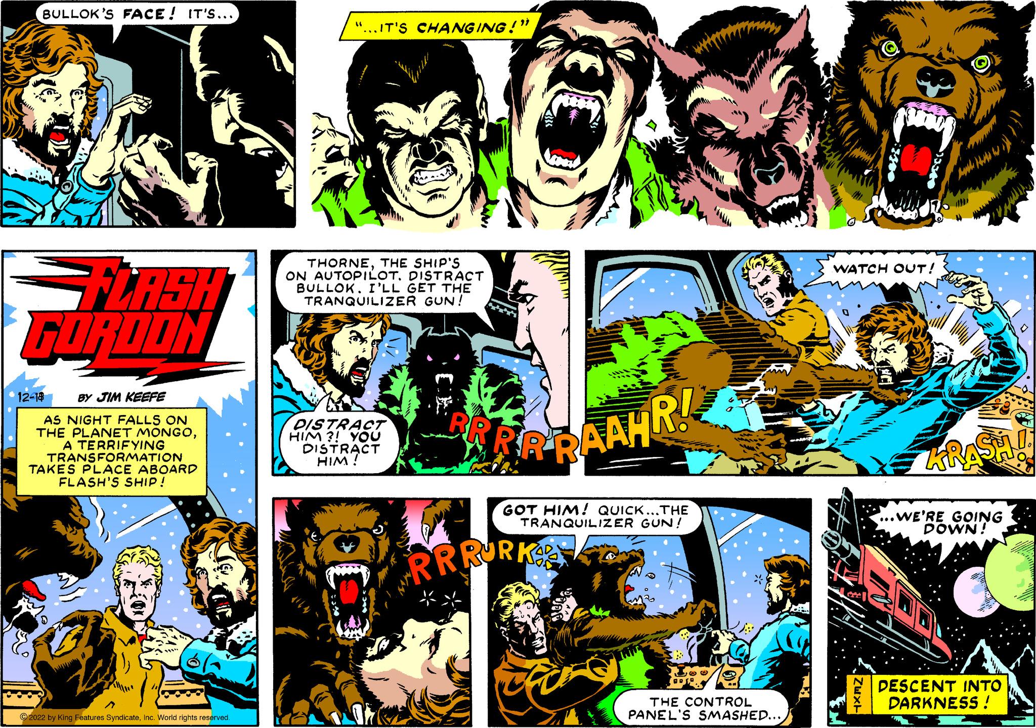 Illustration OCR: BULLOK'S FACE! IT'S... FLASH FORDON 12-18 BY JIM KEEFE AS NIGHT FALLS ON THE PLANET MONGOA TERRIFYING TRANSFORMATION TAKES PLACE ABOARD FLASH'S SHIP! ?2022 by King Features SyndicateInc. World rights reserved. "...IT'S CHANGING!" THORNETHE SHIP'S ON AUTOPILOT. DISTRACT BULLOK. I'LL GET THE TRANQUILIZER GUN! DISTRACT HIM?! YOU DISTRACT HIM! WK RRRAAHR! GOT HIM! QUICK...THE TRANQUILIZER GUN! RRRURK 88 19 THE CONTROL PANEL'S SMASHED... WATCH OUT! Zuxt 1354 ?????????? KRASH!! WE'RE GOING DOWN! DESCENT INTO DARKNESS ! BULLOK'S FACE ! IT'S ... FLASH FORDON 12-18 BY JIM KEEFE AS NIGHT FALLS ON THE PLANET MONGOA TERRIFYING TRANSFORMATION TAKES PLACE ABOARD FLASH'S SHIP ! ?2022 by King Features SyndicateInc. World rights reserved . " ... IT'S CHANGING ! " THORNETHE SHIP'S ON AUTOPILOT . DISTRACT BULLOK . I'LL GET THE TRANQUILIZER GUN ! DISTRACT HIM ?! YOU DISTRACT HIM ! WK RRRAAHR ! GOT HIM ! QUICK ... THE TRANQUILIZER GUN ! RRRURK 88 19 THE CONTROL PANEL'S SMASHED ... WATCH OUT ! Zuxt 1354 ?????????? KRASH !! WE'RE GOING DOWN ! DESCENT INTO DARKNESS !