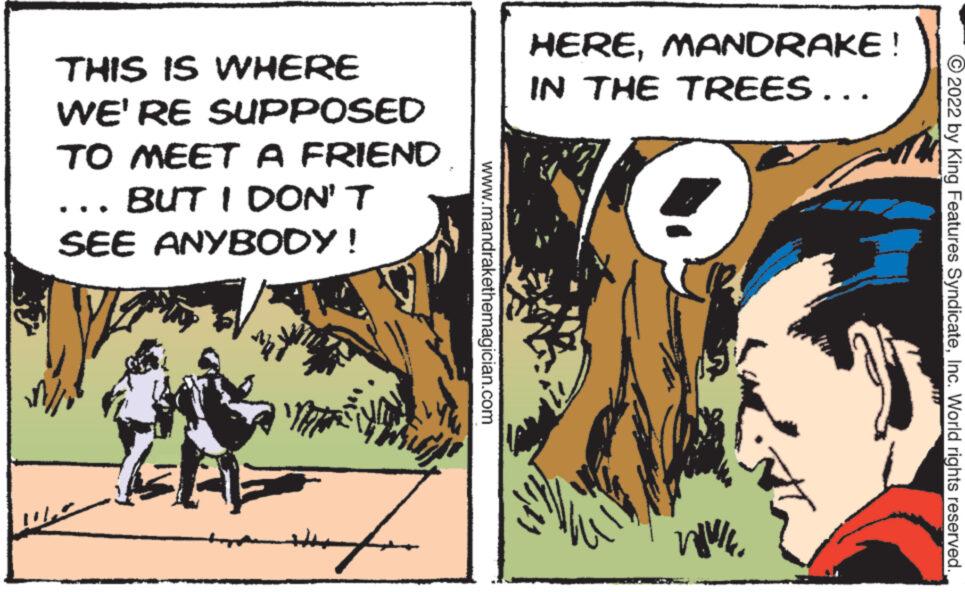 Mandrake The Magician (Vintage) - Part 1 - 2022-12-30