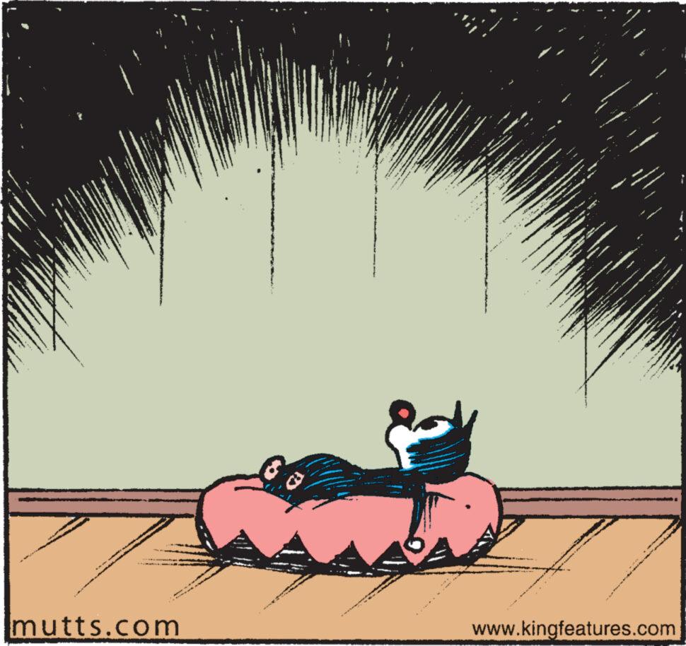 Mutts - Part 1 - 2022-12-19