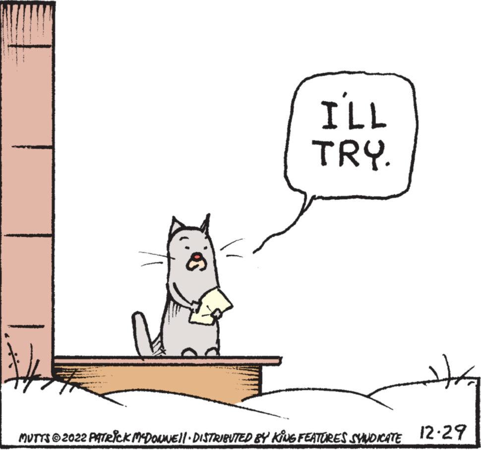 Mutts - Part 3 - 2022-12-29