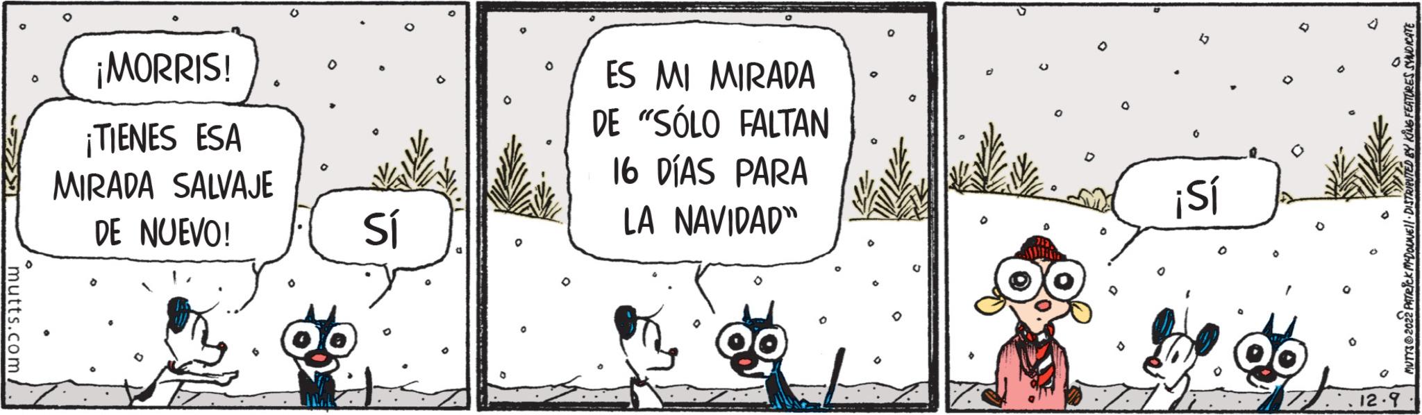 Drawing OCR: ¡MORRIS! ¡TIENES ESA MIRADA SALVAJE DE NUEVO! Sí ES MI MIRADA DE "SÓLO FALTAN 16 DÍAS PARA LA NAVIDAD" C ¡Sí D MUTYS 2022 PATRICK MCDONNEL DISTRIBUTED BY KING FEATURES SYNDICATE 12.9 ¡ MORRIS ! ¡ TIENES ESA MIRADA SALVAJE DE NUEVO ! Sí ES MI MIRADA DE " SÓLO FALTAN 16 DÍAS PARA LA NAVIDAD " C ¡ Sí D MUTYS 2022 PATRICK MCDONNEL DISTRIBUTED BY KING FEATURES SYNDICATE 12.9