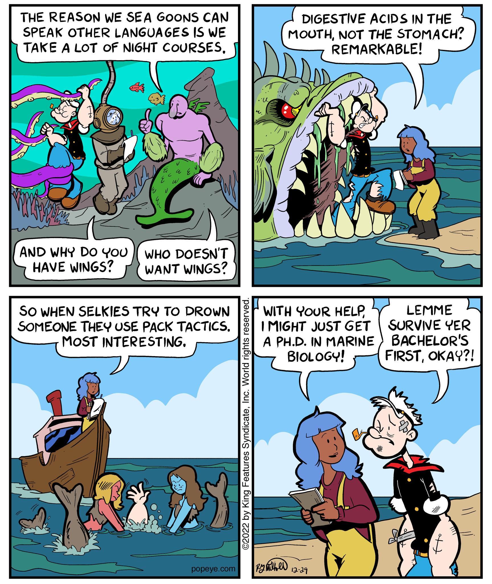 Fictional character OCR: THE REASON WE SEA GOONS CAN SPEAK OTHER LANGUAGES IS WE TAKE A LOT OF NIGHT COURSESAND WHY DO YOU HAVE WINGS? V WHO DOESN'T WANT WINGS? SO WHEN SELKIES TRY TO DROWN SOMEONE THEY USE PACK TACTICS. MOST INTERESTING. popeye.com ©2022 by King Features SyndicateInc. World rights reserved. w. DIGESTIVE ACIDS IN THE MOUTHNOT THE STOMACH? REMARKABLE! WITH YOUR HELP I MIGHT JUST GET A PH.D. IN MARINE BIOLOGY! By miell 12.2 ??????? LEMME SURVIVE YER BACHELOR'S FIRSTOKAY?! THE REASON WE SEA GOONS CAN SPEAK OTHER LANGUAGES IS WE TAKE A LOT OF NIGHT COURSESAND WHY DO YOU HAVE WINGS ? V WHO DOESN'T WANT WINGS ? SO WHEN SELKIES TRY TO DROWN SOMEONE THEY USE PACK TACTICS . MOST INTERESTING . popeye.com © 2022 by King Features SyndicateInc. World rights reserved . w . DIGESTIVE ACIDS IN THE MOUTHNOT THE STOMACH ? REMARKABLE ! WITH YOUR HELP I MIGHT JUST GET A PH.D. IN MARINE BIOLOGY ! By miell 12.2 ??????? LEMME SURVIVE YER BACHELOR'S FIRSTOKAY ?!
