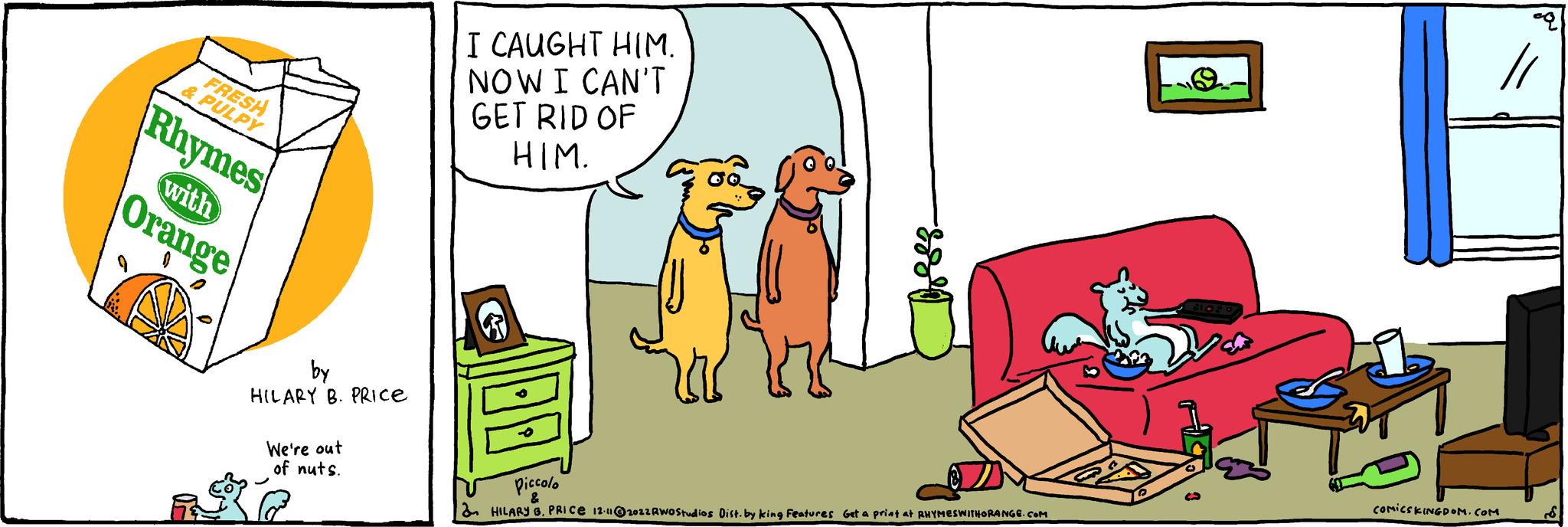 Art OCR: FRESH & PULPY Rhymes with Orange by HILARY B. PRICE We're out of nuts. I CAUGHT HIM. NOW I CAN'T GET RID OF HIM. R ?a E Piccolo & HILARY B. PRICE 12-11@2022 RWO Studios Dist. by king Features Get a print at RHYMESWITHORANGE.COM COMICSKINGDOM.COM FRESH & PULPY Rhymes with Orange by HILARY B. PRICE We're out of nuts . I CAUGHT HIM . NOW I CAN'T GET RID OF HIM . R ? a E Piccolo & HILARY B. PRICE 12-11 @ 2022 RWO Studios Dist . by king Features Get a print at RHYMESWITHORANGE.COM COMICSKINGDOM.COM
