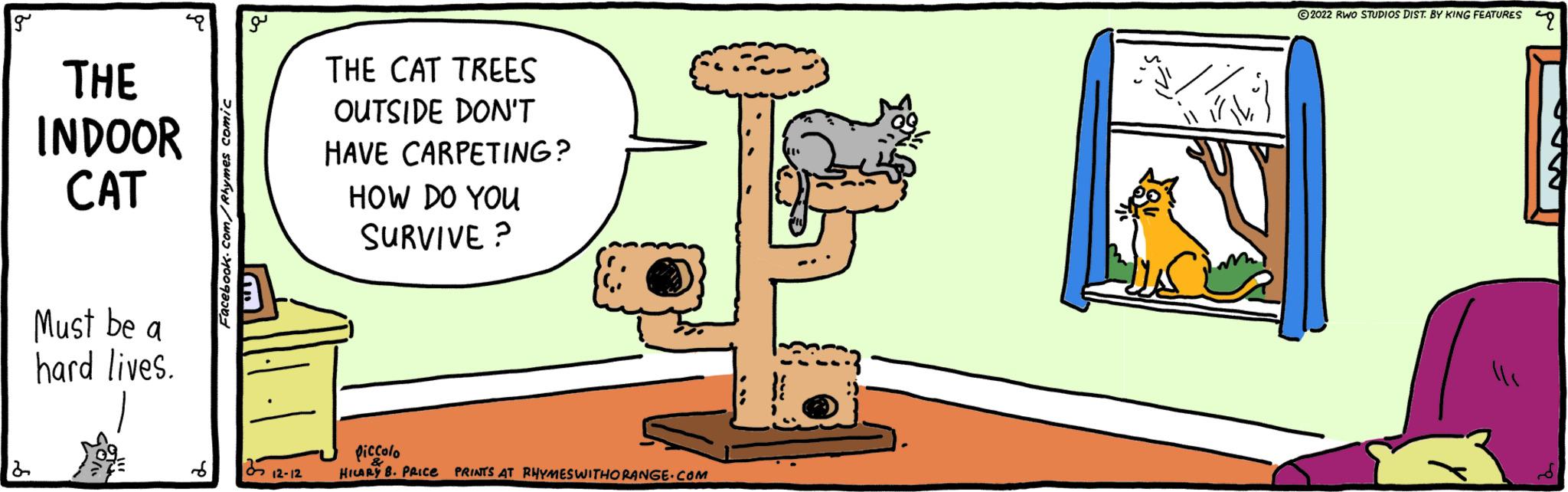 Illustration OCR: g 2 THE INDOOR CAT Must be a hard lives. Facebook.com/Rhymes comic a 312-12 THE CAT TREES OUTSIDE DON'T HAVE CARPETING? HOW DO YOU SURVIVE? Piccolo HILARY B. PRICE PRINTS AT RHYMES WITHORANGE COM VA 2022 RWO STUDIOS DIST. BY KING FEATURES 49 g 2 THE INDOOR CAT Must be a hard lives . Facebook.com/Rhymes comic a 312-12 THE CAT TREES OUTSIDE DON'T HAVE CARPETING ? HOW DO YOU SURVIVE ? Piccolo HILARY B. PRICE PRINTS AT RHYMES WITHORANGE COM VA 2022 RWO STUDIOS DIST . BY KING FEATURES 49