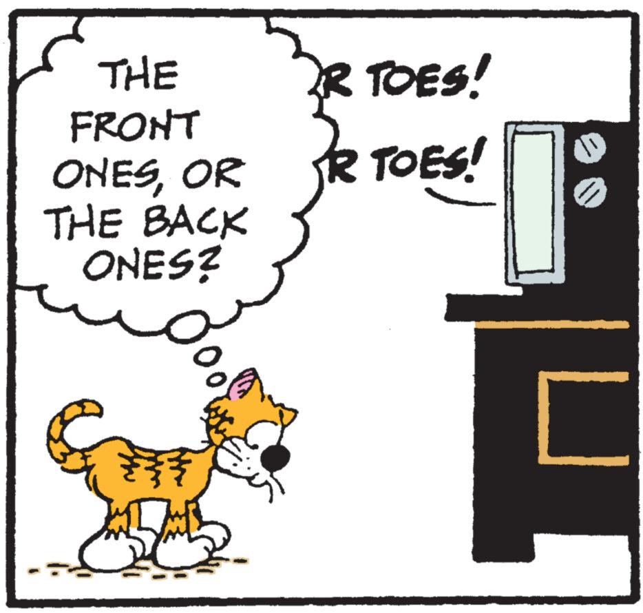 Terrestrial animal OCR: THE FRONT ONESOR THE BACK ONES? ? R TOES! R TOES! U THE FRONT ONESOR THE BACK ONES ? ? R TOES ! R TOES ! U