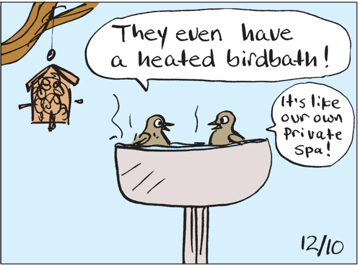 Conversation OCR: They even have a heated birdbath! it's like our own Private Spa! 12/10 They even have a heated birdbath ! it's like our own Private Spa ! 12/10