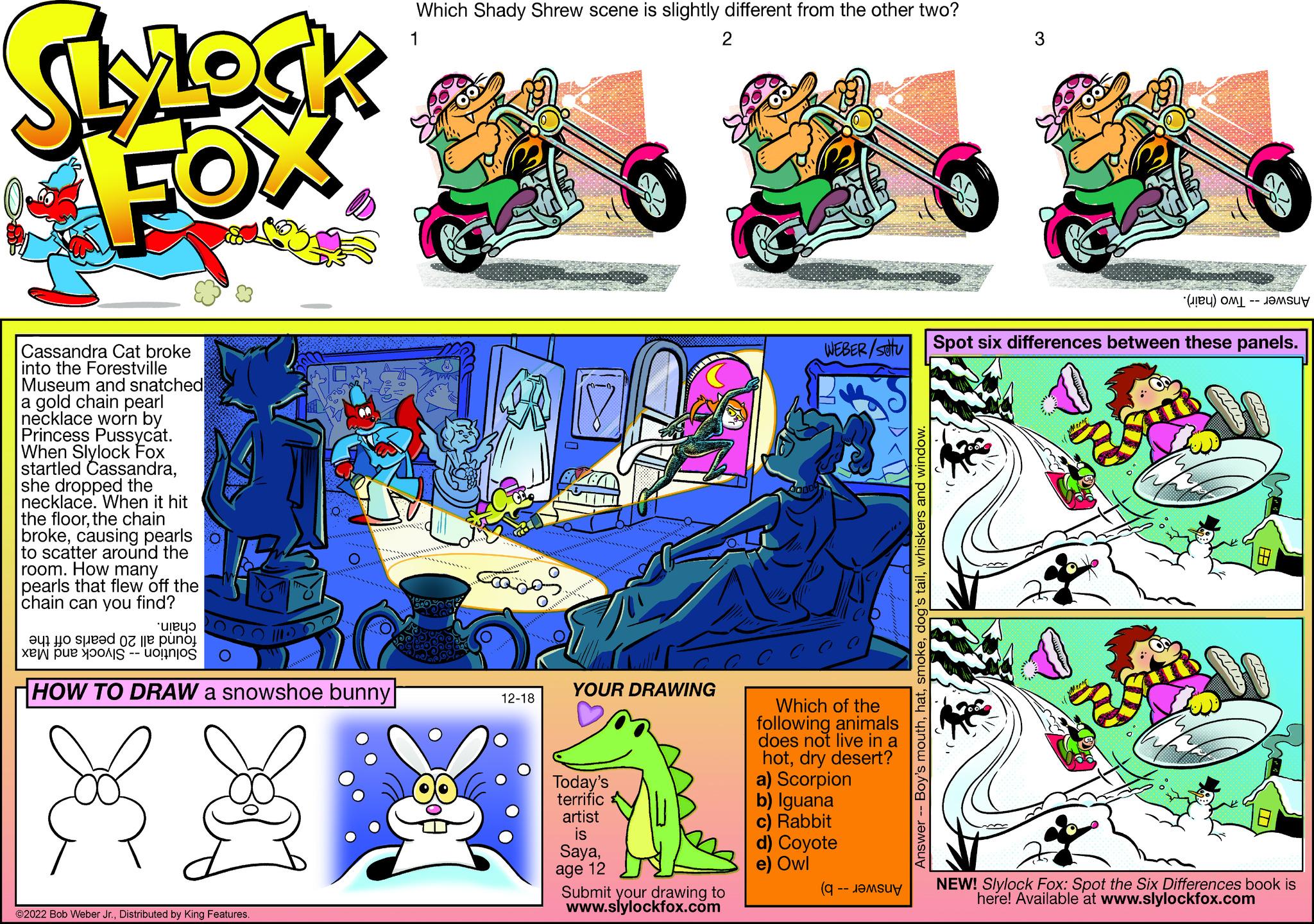 Parallel OCR: SLYLOCK FOX Cassandra Cat broke into the Forestville Museum and snatched a gold chain pearl necklace worn by Princess Pussycat. When Slylock Fox startled Cassandrashe dropped the necklace. When it hit the floorthe chain brokecausing pearls to scatter around the room. How many pearls that flew off the chain can you find? 22 a to se z lle puno MIS - uolin|os HOW TO DRAW a snowshoe bunny ?2022 Bob Weber Jr.Distributed by King Features. Which Shady Shrew scene is slightly different from the other two? 1 2 Casos 12-18 0-0 maiputan YOUR DRAWING Today's terrific artist is Sayaage 12 Submit your drawing to www.slylockfox.com WEBER/setu Which of the following animals does not live in a hotdry desert? a) Scorpion b) Iguana c) Rabbit d) Coyote e) Owl (q M Answer -- Boy's mouthwhiskers and window. Spot six differences between these panels. DE () Mark NEW! Slylock Fox: Spot the Six Differences book is here! Available www.slylockfox.com SLYLOCK FOX Cassandra Cat broke into the Forestville Museum and snatched a gold chain pearl necklace worn by Princess Pussycat . When Slylock Fox startled Cassandrashe dropped the necklace . When it hit the floorthe chain brokecausing pearls to scatter around the room . How many pearls that flew off the chain can you find ? 22 a to se z lle puno MIS - uolin | os HOW TO DRAW a snowshoe bunny ?2022 Bob Weber Jr.Distributed by King Features . Which Shady Shrew scene is slightly different from the other two ? 1 2 Casos 12-18 0-0 maiputan YOUR DRAWING Today's terrific artist is Sayaage 12 Submit your drawing to www.slylockfox.com WEBER / setu Which of the following animals does not live in a hotdry desert ? a ) Scorpion b ) Iguana c ) Rabbit d ) Coyote e ) Owl ( q M Answer -- Boy's mouthdog's tailwhiskers and window . Spot six differences between these panels . DE ( ) Mark NEW ! Slylock Fox : Spot the Six Differences book is here ! Available www.slylockfox.com