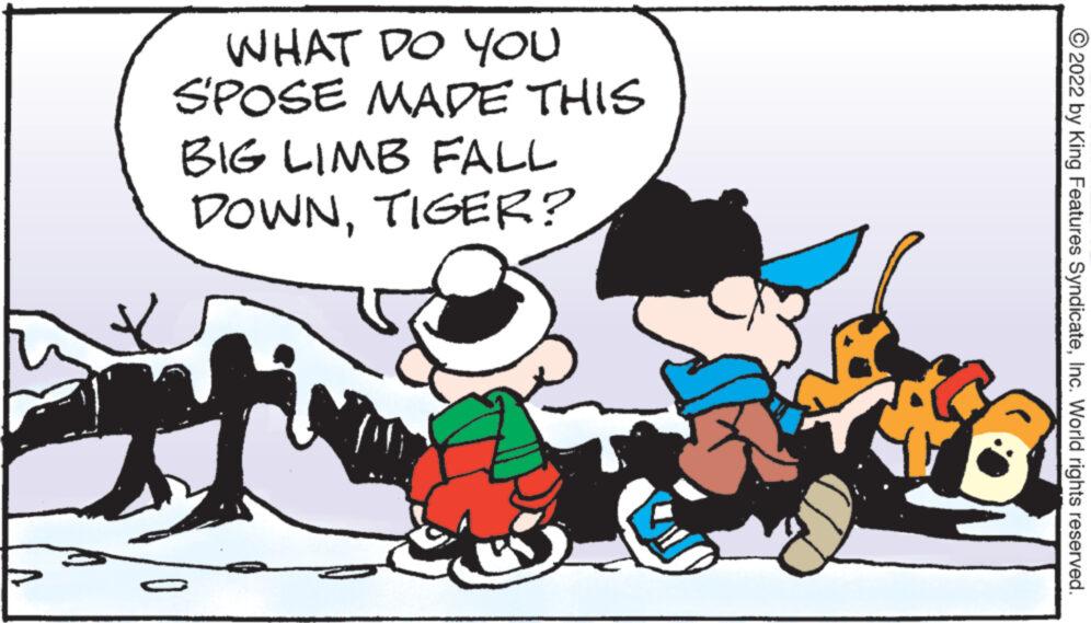 Illustration OCR: WHAT DO YOU SPOSE MADE THIS BIG LIMB FALL DOWNTIGER? ?2022 by King Features SyndicateInc. World rights reserved. WHAT DO YOU SPOSE MADE THIS BIG LIMB FALL DOWNTIGER ? ?2022 by King Features SyndicateInc. World rights reserved .