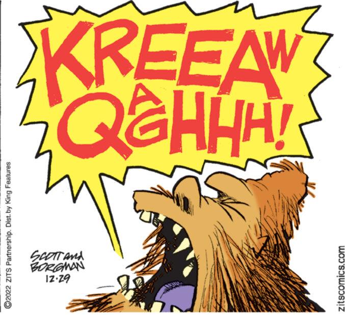 Publication OCR: ?2022 ZITS Partnership. Dist. by King Features 12.29 BORGMAN SCOTT and zitscomics.com 3 H! W ?2022 ZITS Partnership . Dist . by King Features 12.29 BORGMAN SCOTT and zitscomics.com 3 H ! W