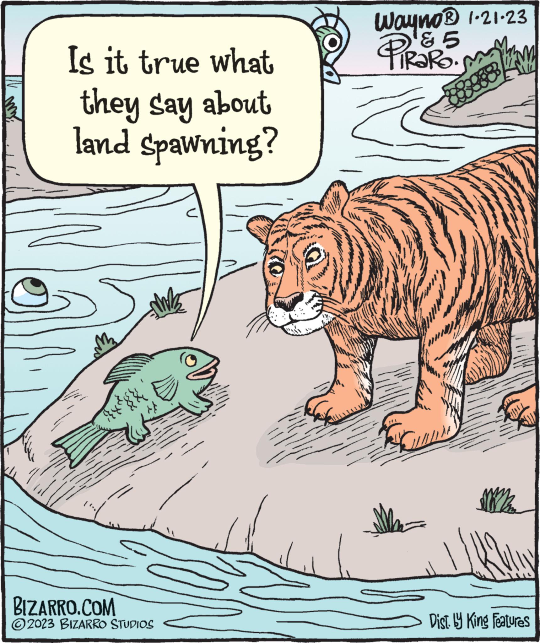 Wildlife OCR: Is it true what they say about land spawning? xay S BIZARRO.COM © 2023 BIZARRO STUDIOS Wayno® 1.21.23 & 5 PiRaRo. HMY Ho Ma Dist. by King Features Is it true what they say about land spawning ? xay S BIZARRO.COM © 2023 BIZARRO STUDIOS Wayno® 1.21.23 & 5 PiRaRo . HMY Ho Ma Dist . by King Features