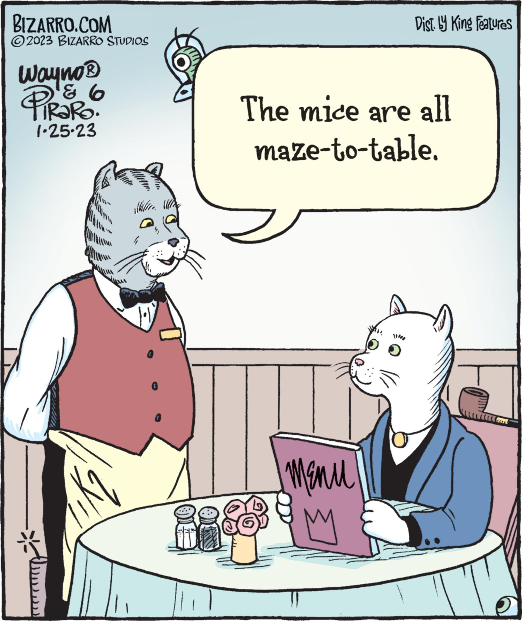 Art OCR: BIZARRO.COM ?2023 BIZARRO STUDIOS Wayno? ? PIRARO 1-25-23 Z Walice. Whe Dist. by King Features The mice are all maze-to-table. ???? M BIZARRO.COM ?2023 BIZARRO STUDIOS Wayno? ? PIRARO 1-25-23 Z Walice . Whe Dist . by King Features The mice are all maze - to - table . ???? M