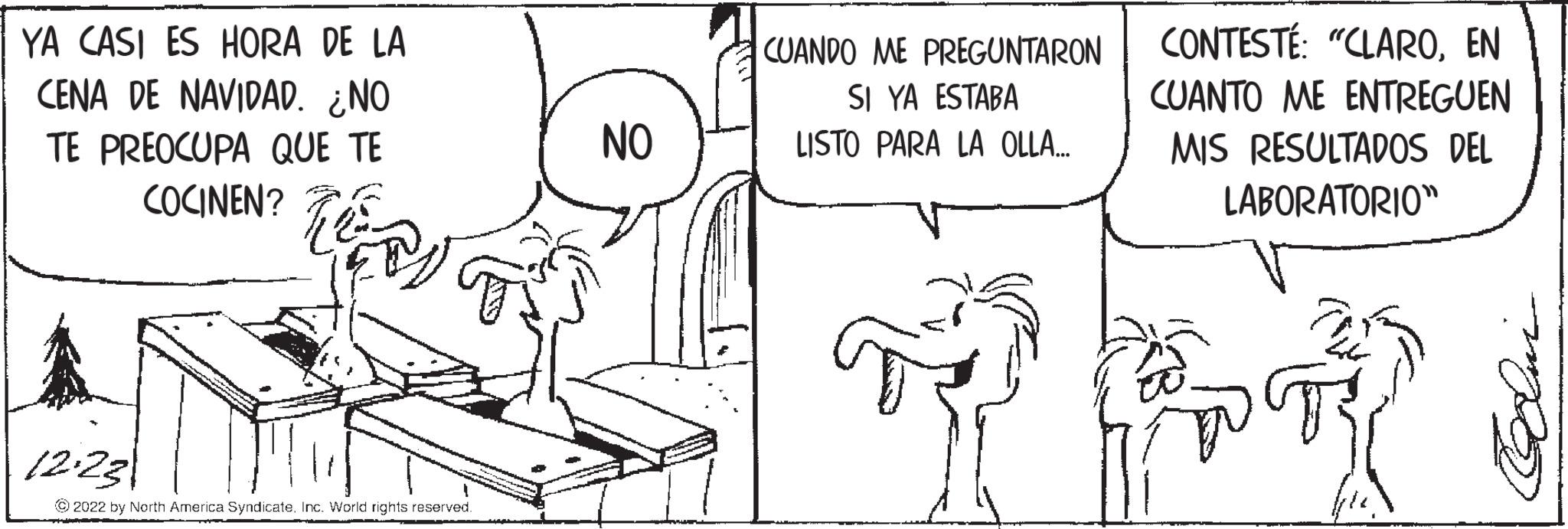 Cartoon OCR: YA CASI ES HORA DE LA CENA DE NAVIDAD. ¿NO ¿ TE PREOCUPA QUE TE COCINEN? 12.23 ?2022 by North America SyndicateInc. World rights reserved. NO CUANDO ME PREGUNTARON SI YA ESTABA LISTO PARA LA OLLA... CONTESTÉ: "CLAROEN CUANTO ME ENTREGUEN MIS RESULTADOS DEL LABORATORIO" mpo YA CASI ES HORA DE LA CENA DE NAVIDAD . ¿ NO ¿ TE PREOCUPA QUE TE COCINEN ? 12.23 ?2022 by North America SyndicateInc. World rights reserved . NO CUANDO ME PREGUNTARON SI YA ESTABA LISTO PARA LA OLLA ... CONTESTÉ : " CLAROEN CUANTO ME ENTREGUEN MIS RESULTADOS DEL LABORATORIO " mpo