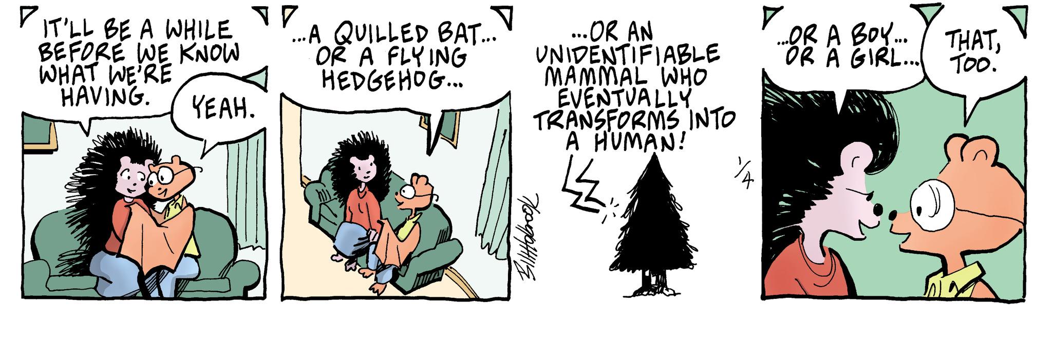 Art OCR: IT'LL BE A WHILE BEFORE WE KNOW WHAT WE'RE HAVING. ? YEAH. ....A QUILLED BAT... OR A FLYING HEDGEHOG... W Biltholbrook ...OR AN UNIDENTIFIABLE MAMMAL WHO EVENTUALLY TRANSFORMS INTO A HUMAN! 1/2 ...OR A BOY.. OR A GIRL... THATTOO. IT'LL BE A WHILE BEFORE WE KNOW WHAT WE'RE HAVING . ? YEAH . .... A QUILLED BAT ... OR A FLYING HEDGEHOG ... W Biltholbrook ... OR AN UNIDENTIFIABLE MAMMAL WHO EVENTUALLY TRANSFORMS INTO A HUMAN ! 1/2 ... OR A BOY .. OR A GIRL ... THATTOO .