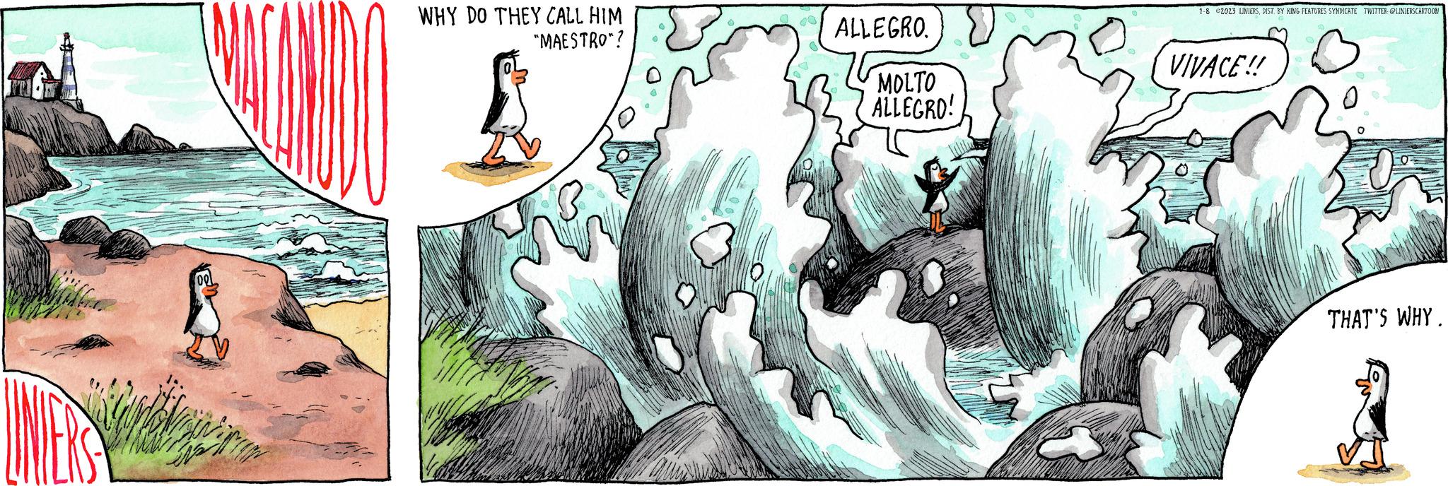 Illustration OCR: WHY DO THEY CALL HIM "MAESTRO"? ALLEGRO. MOLTO ALLEGRO! 1-8 2023 LINIERSDIST. BY KING FEATURES SYNDICATE TWITTER: @LINIERSCARTOON VIVACE!! THAT'S WHY. WHY DO THEY CALL HIM " MAESTRO " ? ALLEGRO . MOLTO ALLEGRO ! 1-8 2023 LINIERSDIST . BY KING FEATURES SYNDICATE TWITTER : @LINIERSCARTOON VIVACE !! THAT'S WHY .