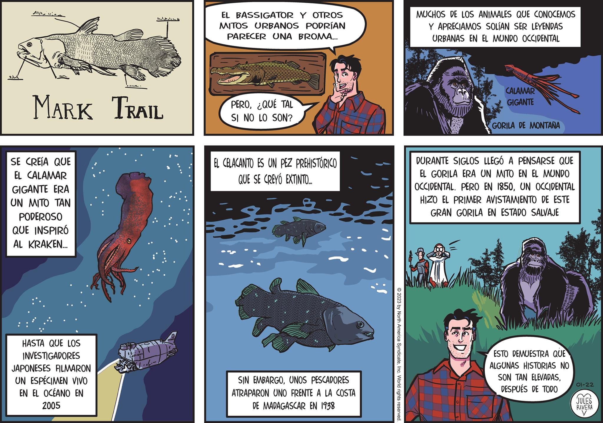 Comics OCR: MARK TRAIL SE CREÍA QUE EL CALAMAR GIGANTE ERA UN MITO TAN PODEROSO QUE INSPIRÓ AL KRAKEN... HASTA QUE LOS INVESTIGADORES JAPONESES FILMARON UN ESPECIMEN VIVO EN EL OCÉANO EN 2005 11.4 Cast 8500 EL BASSIGATOR Y OTROS MITOS URBANOS PODRÍAN PARECER UNA BROMA... PEROQUE TAL SI NO LO SON? EL CELACANTO ES UN PEZ PREHISTÓRICO QUE SE CREYÓ EXTINTO... Big SIN EMBARGOUNOS PESCADORES ATRAPARON UNO FRENTE A LA COSTA DE MADAGASCAR EN 1938 © 2023 by North America SyndicateInc. World rights reserved. MUCHOS DE LOS ANIMALES QUE CONOCEMOS Y APRECIAMOS SOLÍAN SER LEYENDAS URBANAS EN EL MUNDO OCCIDENTAL CALAMAR GIGANTE GORILA DE MONTAÑA DURANTE SIGLOS LLEGÓ A PENSARSE QUE EL GORILA ERA UN MITO EN EL MUNDO OCCIDENTAL. PERO EN 1850UN OCCIDENTAL HIZO EL PRIMER AVISTAMIENTO DE ESTE GRAN GORILA EN ESTADO SALVAJE ESTO DEMUESTRA QUE ALGUNAS HISTORIAS NO SON TAN ELEVADASDESPUÉS DE TODO 01-22 JULES RIVERA V MARK TRAIL SE CREÍA QUE EL CALAMAR GIGANTE ERA UN MITO TAN PODEROSO QUE INSPIRÓ AL KRAKEN ... HASTA QUE LOS INVESTIGADORES JAPONESES FILMARON UN ESPECIMEN VIVO EN EL OCÉANO EN 2005 11.4 Cast 8500 EL BASSIGATOR Y OTROS MITOS URBANOS PODRÍAN PARECER UNA BROMA ... PEROQUE TAL SI NO LO SON ? EL CELACANTO ES UN PEZ PREHISTÓRICO QUE SE CREYÓ EXTINTO ... Big SIN EMBARGOUNOS PESCADORES ATRAPARON UNO FRENTE A LA COSTA DE MADAGASCAR EN 1938 © 2023 by North America SyndicateInc. World rights reserved . MUCHOS DE LOS ANIMALES QUE CONOCEMOS Y APRECIAMOS SOLÍAN SER LEYENDAS URBANAS EN EL MUNDO OCCIDENTAL CALAMAR GIGANTE GORILA DE MONTAÑA DURANTE SIGLOS LLEGÓ A PENSARSE QUE EL GORILA ERA UN MITO EN EL MUNDO OCCIDENTAL . PERO EN 1850UN OCCIDENTAL HIZO EL PRIMER AVISTAMIENTO DE ESTE GRAN GORILA EN ESTADO SALVAJE ESTO DEMUESTRA QUE ALGUNAS HISTORIAS NO SON TAN ELEVADASDESPUÉS DE TODO 01-22 JULES RIVERA V