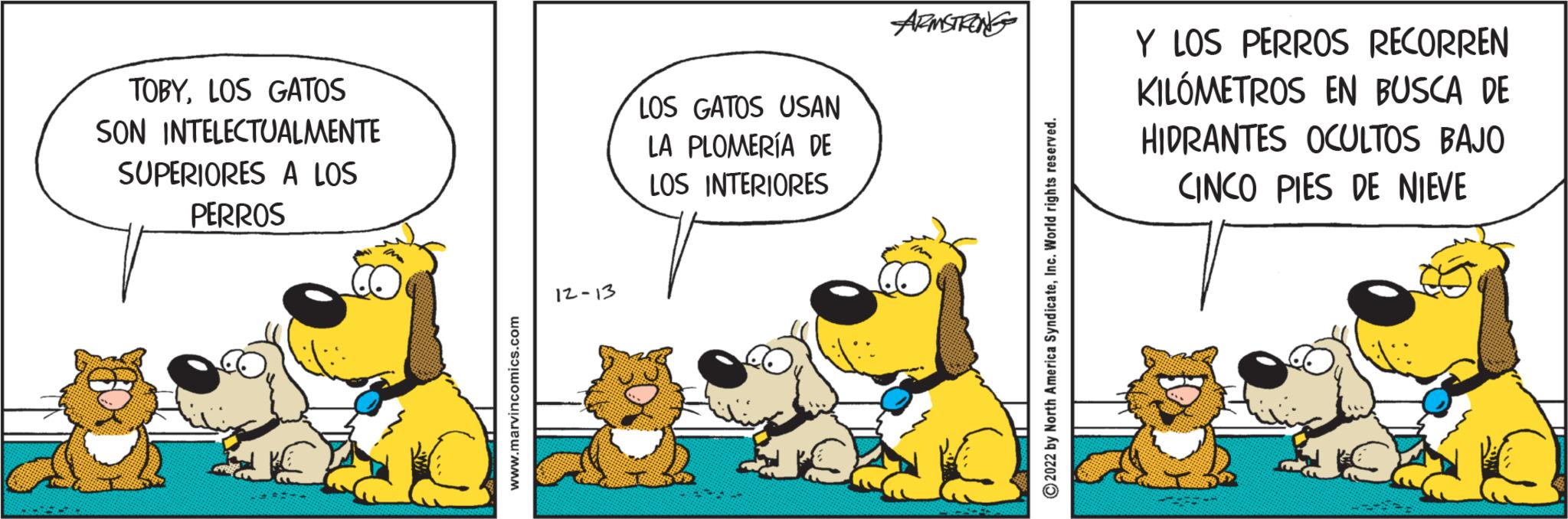 Font OCR: TOBYLOS GATOS SON INTELECTUALMENTE SUPERIORES A LOS PERROS www.marvincomics.com 12-13 LOS GATOS USAN LA PLOMERÍA DE LOS INTERIORES ARMSTRONG ?2022 by North America SyndicateInc. World rights reserved. Y LOS PERROS RECORREN KILÓMETROS EN BUSCA DE HIDRANTES OCULTOS BAJO CINCO PIES DE NIEVE TOBYLOS GATOS SON INTELECTUALMENTE SUPERIORES A LOS PERROS www.marvincomics.com 12-13 LOS GATOS USAN LA PLOMERÍA DE LOS INTERIORES ARMSTRONG ?2022 by North America SyndicateInc. World rights reserved . Y LOS PERROS RECORREN KILÓMETROS EN BUSCA DE HIDRANTES OCULTOS BAJO CINCO PIES DE NIEVE