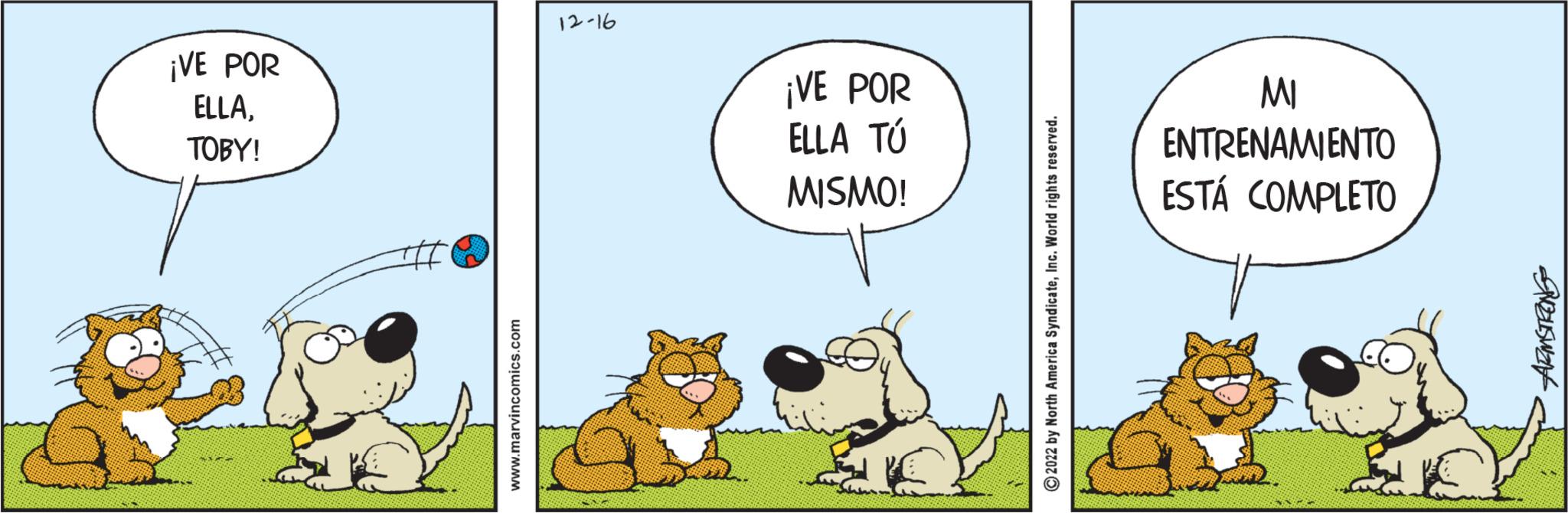 Wildlife OCR: ¡VE POR ELLATOBY! www.marvincomics.com 12-16 ¡VE POR ELLA TÚ MISMO! ?2022 by North America SyndicateInc. World rights reserved. MI ENTRENAMIENTO ESTÁ COMPLETO ARMSTRONG ¡ VE POR ELLATOBY ! www.marvincomics.com 12-16 ¡ VE POR ELLA TÚ MISMO ! ?2022 by North America SyndicateInc. World rights reserved . MI ENTRENAMIENTO ESTÁ COMPLETO ARMSTRONG