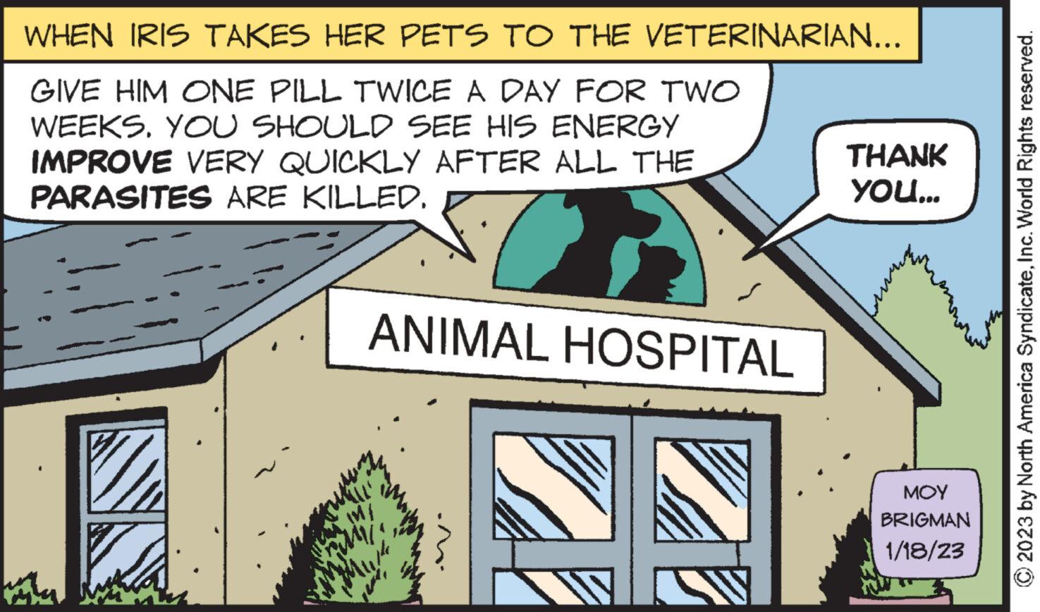 Design OCR: WHEN IRIS TAKES HER PETS TO THE VETERINARIAN... GIVE HIM ONE PILL TWICE A DAY FOR TWO WEEKS. YOU SHOULD SEE HIS ENERGY IMPROVE VERY QUICKLY AFTER ALL THE PARASITES ARE KILLED. ANIMAL HOSPITAL THANK YOU... MOY BRIGMAN 1/18/23 © 2023 by North America SyndicateInc. World Rights reserved. WHEN IRIS TAKES HER PETS TO THE VETERINARIAN ... GIVE HIM ONE PILL TWICE A DAY FOR TWO WEEKS . YOU SHOULD SEE HIS ENERGY IMPROVE VERY QUICKLY AFTER ALL THE PARASITES ARE KILLED . ANIMAL HOSPITAL THANK YOU ... MOY BRIGMAN 1/18/23 © 2023 by North America SyndicateInc. World Rights reserved .