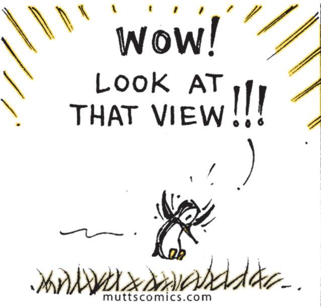 Graphics OCR: Wow! LOOK AT THAT VIEW!!! FOR s wwwwwwwww MAN GING ANG wwww Xnxaddar.. muttscomics.com Wow ! LOOK AT THAT VIEW !!! FOR s wwwwwwwww MAN GING ANG wwww Xnxaddar .. muttscomics.com