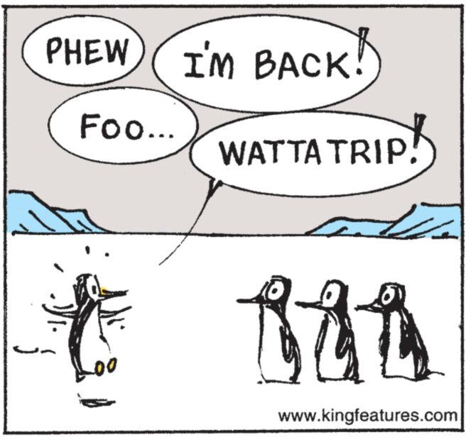 Jaw OCR: PHEW I'M BACK! Foo... 00 WATTA TRIP! www.kingfeatures.com PHEW I'M BACK ! Foo ... 00 WATTA TRIP ! www.kingfeatures.com