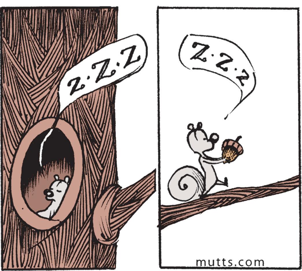 Line art OCR: 3 2.Z.Z 7.2.2 mutts.com 3 2.Z.Z 7.2.2 mutts.com
