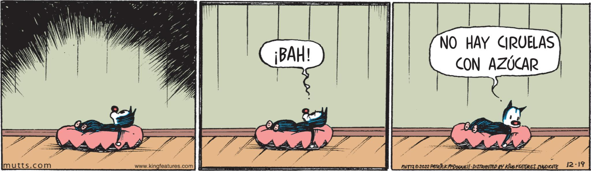 Illustration OCR: mutts.com www.kingfeatures.com ¡BAH! NO HAY CIRUELAS CON AZÚCAR MUTTS?2022 PATRICK MCDONNIE||- DISTRIBUTED BY KING FEATURES SYNDICATE 12.19 mutts.com www.kingfeatures.com ¡ BAH ! NO HAY CIRUELAS CON AZÚCAR MUTTS?2022 PATRICK MCDONNIE || - DISTRIBUTED BY KING FEATURES SYNDICATE 12.19