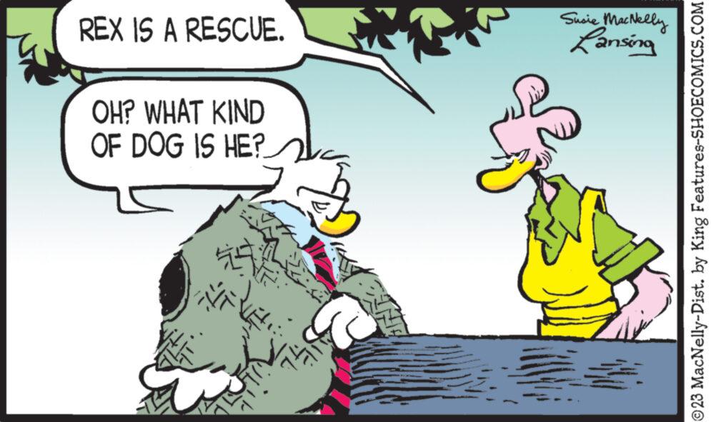 Adaptation OCR: REX IS A RESCUE. OH? WHAT KIND OF DOG IS HE? 741 Susie MacNelly Lansing # ©23 MacNelly-Dist. by King Features-SHOECOMICS.COM REX IS A RESCUE . OH ? WHAT KIND OF DOG IS HE ? 741 Susie MacNelly Lansing # © 23 MacNelly - Dist . by King Features-SHOECOMICS.COM