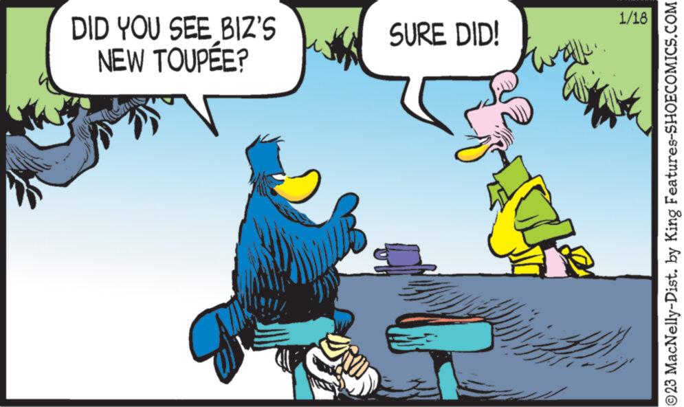 Rectangle OCR: DID YOU SEE BIZ'S NEW TOUPÉE? ?? SURE DID! wall. 1/18 ?23 MacNelly-Dist. by King Features-SHOECOMICS.COM DID YOU SEE BIZ'S NEW TOUPÉE ? ?? SURE DID ! wall . 1/18 ?23 MacNelly - Dist . by King Features-SHOECOMICS.COM