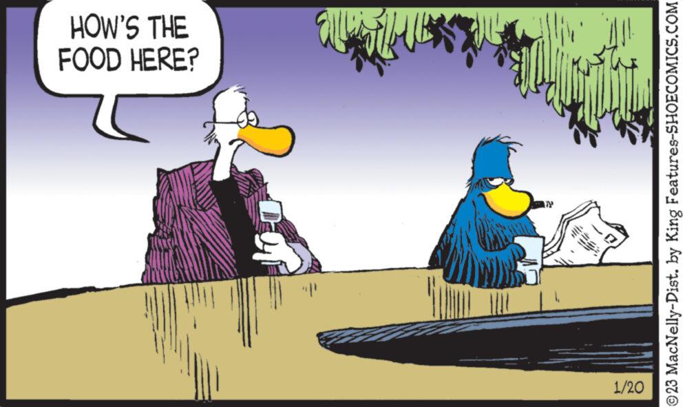 Bird OCR: HOW'S THE FOOD HERE? 1/20 ?23 MacNelly-Dist. by King Features-SHOECOMICS.COM HOW'S THE FOOD HERE ? 1/20 ?23 MacNelly - Dist . by King Features-SHOECOMICS.COM