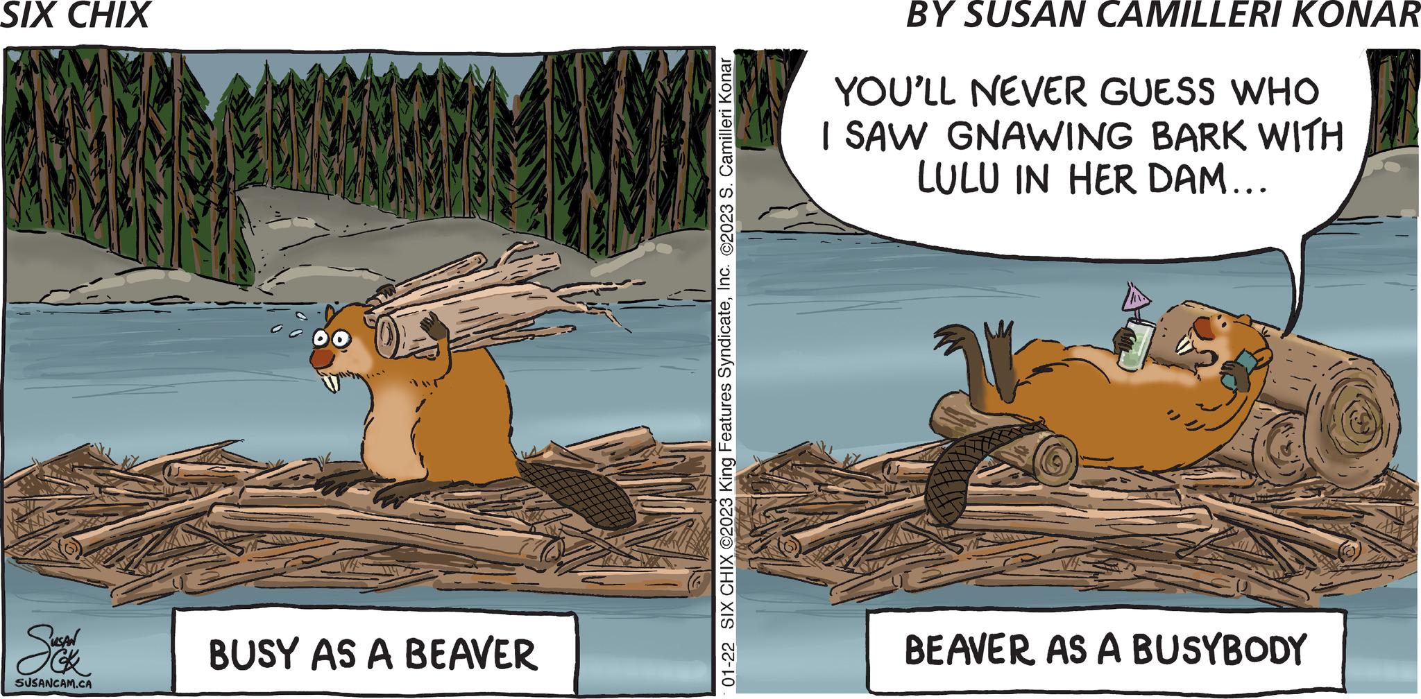 Art OCR: SIX CHIX RUSAN SUSANCAM.CA BUSY AS A BEAVER 01-22 SIX CHIX ©2023 King Features SyndicateInc. ©2023 S. Camilleri Konar BY SUSAN CAMILLERI KONAR YOU'LL NEVER GUESS WHO I SAW GNAWING BARK WITH LULU IN HER DAM... BEAVER AS A BUSYBODY SIX CHIX RUSAN SUSANCAM.CA BUSY AS A BEAVER 01-22 SIX CHIX © 2023 King Features SyndicateInc. © 2023 S. Camilleri Konar BY SUSAN CAMILLERI KONAR YOU'LL NEVER GUESS WHO I SAW GNAWING BARK WITH LULU IN HER DAM ... BEAVER AS A BUSYBODY