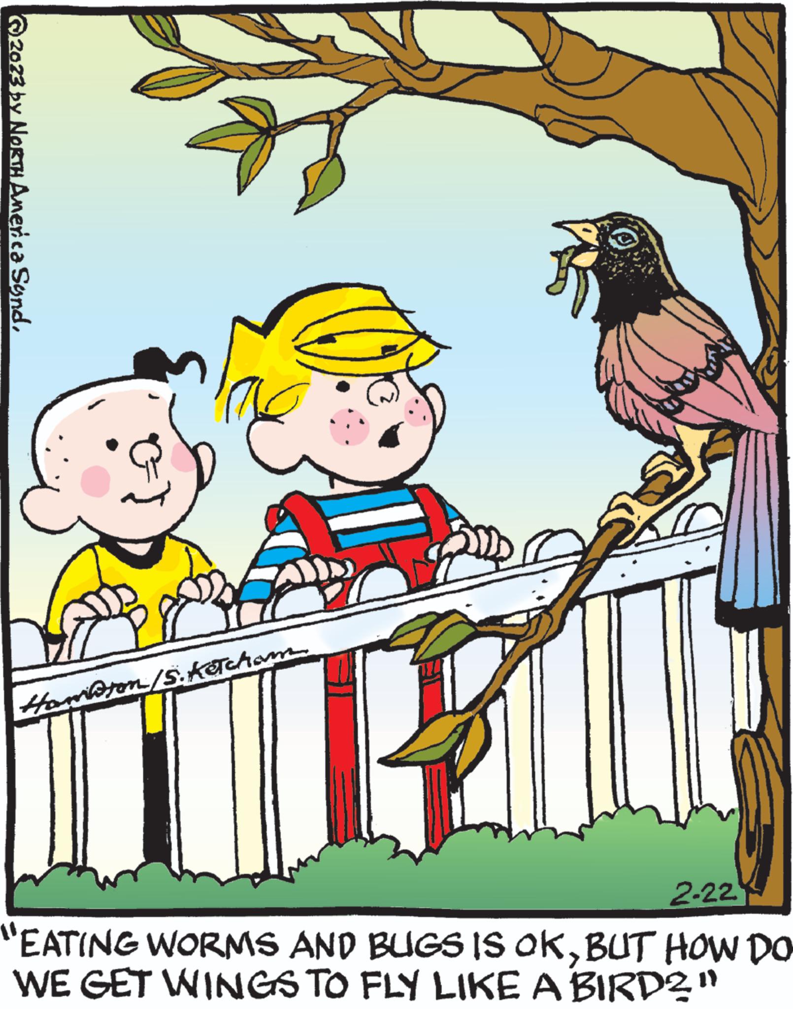 Rectangle OCR: © 2023 by NORTH America SandHawlton/5. Ketcham 2-22 "EATING WORMS AND BUGS IS OKBUT HOW DO WE GET WINGS TO FLY LIKE A BIRD2" © 2023 by NORTH America SandHawlton / 5 . Ketcham 2-22 " EATING WORMS AND BUGS IS OKBUT HOW DO WE GET WINGS TO FLY LIKE A BIRD2 "