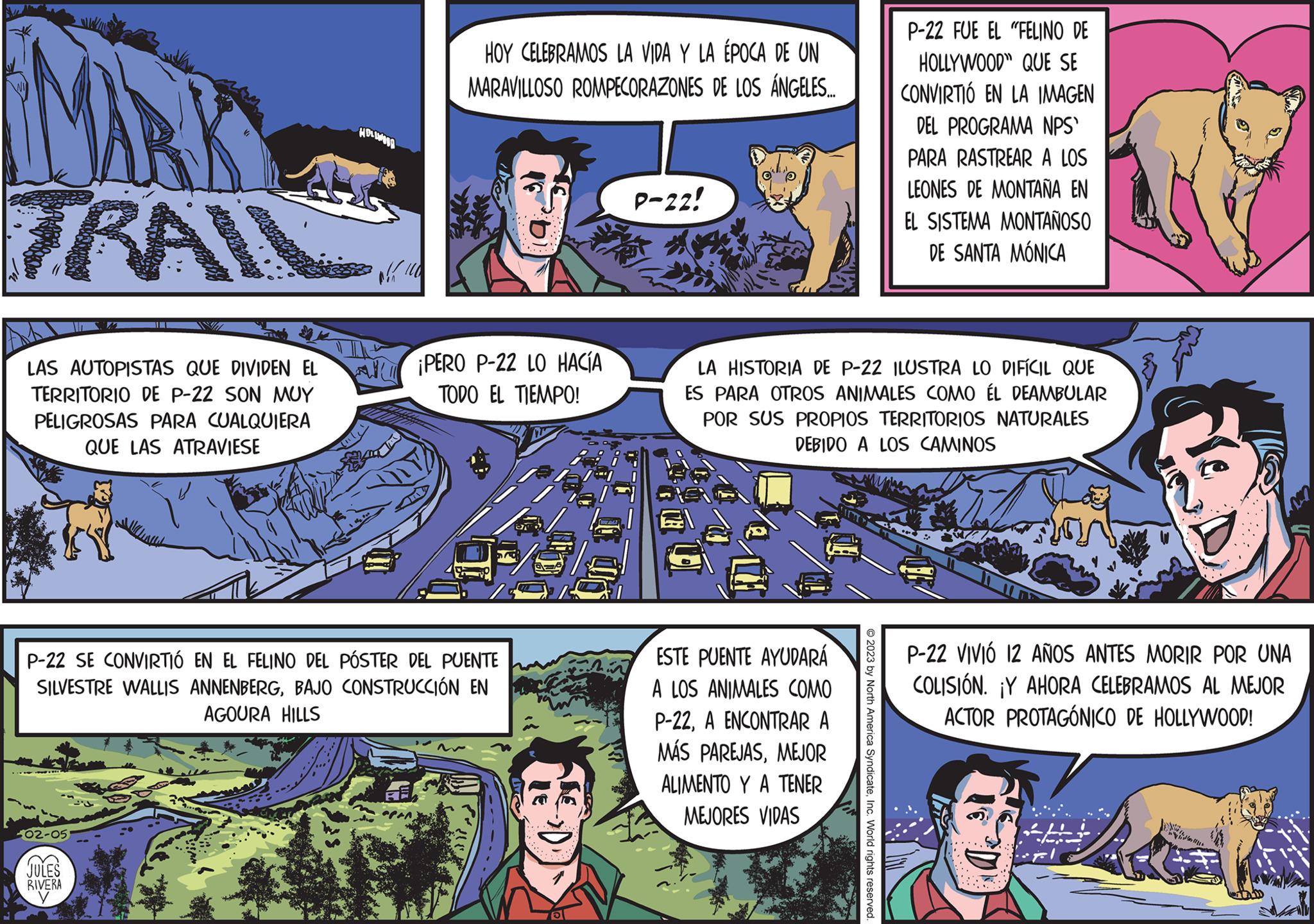 Comic book OCR: MARK TRAIL LAS AUTOPISTAS QUE DIVIDEN EL TERRITORIO DE P-22 SON MUY PELIGROSAS PARA CUALQUIERA QUE LAS ATRAVIESE 02-05 CSE I JULES P-22 SE CONVIRTIÓ EN EL FELINO DEL PÓSTER DEL PUENTE SILVESTRE WALLIS ANNENBERGBAJO CONSTRUCCIÓN EN AGOURA HILLS RIVERA HOLID HOY CELEBRAMOS LA VIDA Y LA ÉPOCA DE UN MARAVILLOSO ROMPECORAZONES DE LOS ÁNGELES.... ¡PERO P-22 LO HACÍA TODO EL TIEMPO! P-22! LA HISTORIA DE P-22 ILUSTRA LO DIFÍCIL QUE ES PARA OTROS ANIMALES COMO ÉL DEAMBULAR POR SUS PROPIOS TERRITORIOS NATURALES DEBIDO A LOS CAMINOS ESTE PUENTE AYUDARÁ A LOS ANIMALES COMO P-22A ENCONTRAR A MÁS PAREJASMEJOR ALIMENTO Y A TENER MEJORES VIDAS P-22 FUE EL "FELINO DE HOLLYWOOD" QUE SE CONVIRTIÓ EN LA IMAGEN DEL PROGRAMA NPS' PARA RASTREAR A LOS LEONES DE MONTAÑA EN EL SISTEMA MONTAÑOSO DE SANTA MÓNICA © 2023 by North America SyndicateInc. World rights reserved. am P-22 VIVIÓ 12 AÑOS ANTES MORIR POR UNA COLISIÓN. Y AHORA CELEBRAMOS AL MEJOR ACTOR PROTAGÓNICO DE HOLLYWOOD! MARK TRAIL LAS AUTOPISTAS QUE DIVIDEN EL TERRITORIO DE P - 22 SON MUY PELIGROSAS PARA CUALQUIERA QUE LAS ATRAVIESE 02-05 CSE I JULES P - 22 SE CONVIRTIÓ EN EL FELINO DEL PÓSTER DEL PUENTE SILVESTRE WALLIS ANNENBERGBAJO CONSTRUCCIÓN EN AGOURA HILLS RIVERA HOLID HOY CELEBRAMOS LA VIDA Y LA ÉPOCA DE UN MARAVILLOSO ROMPECORAZONES DE LOS ÁNGELES .... ¡ PERO P - 22 LO HACÍA TODO EL TIEMPO ! P - 22 ! LA HISTORIA DE P - 22 ILUSTRA LO DIFÍCIL QUE ES PARA OTROS ANIMALES COMO ÉL DEAMBULAR POR SUS PROPIOS TERRITORIOS NATURALES DEBIDO A LOS CAMINOS ESTE PUENTE AYUDARÁ A LOS ANIMALES COMO P - 22A ENCONTRAR A MÁS PAREJASMEJOR ALIMENTO Y A TENER MEJORES VIDAS P - 22 FUE EL " FELINO DE HOLLYWOOD " QUE SE CONVIRTIÓ EN LA IMAGEN DEL PROGRAMA NPS ' PARA RASTREAR A LOS LEONES DE MONTAÑA EN EL SISTEMA MONTAÑOSO DE SANTA MÓNICA © 2023 by North America SyndicateInc. World rights reserved . am P - 22 VIVIÓ 12 AÑOS ANTES MORIR POR UNA COLISIÓN . Y AHORA CELEBRAMOS AL MEJOR ACTOR PROTAGÓNICO DE HOLLYWOOD !