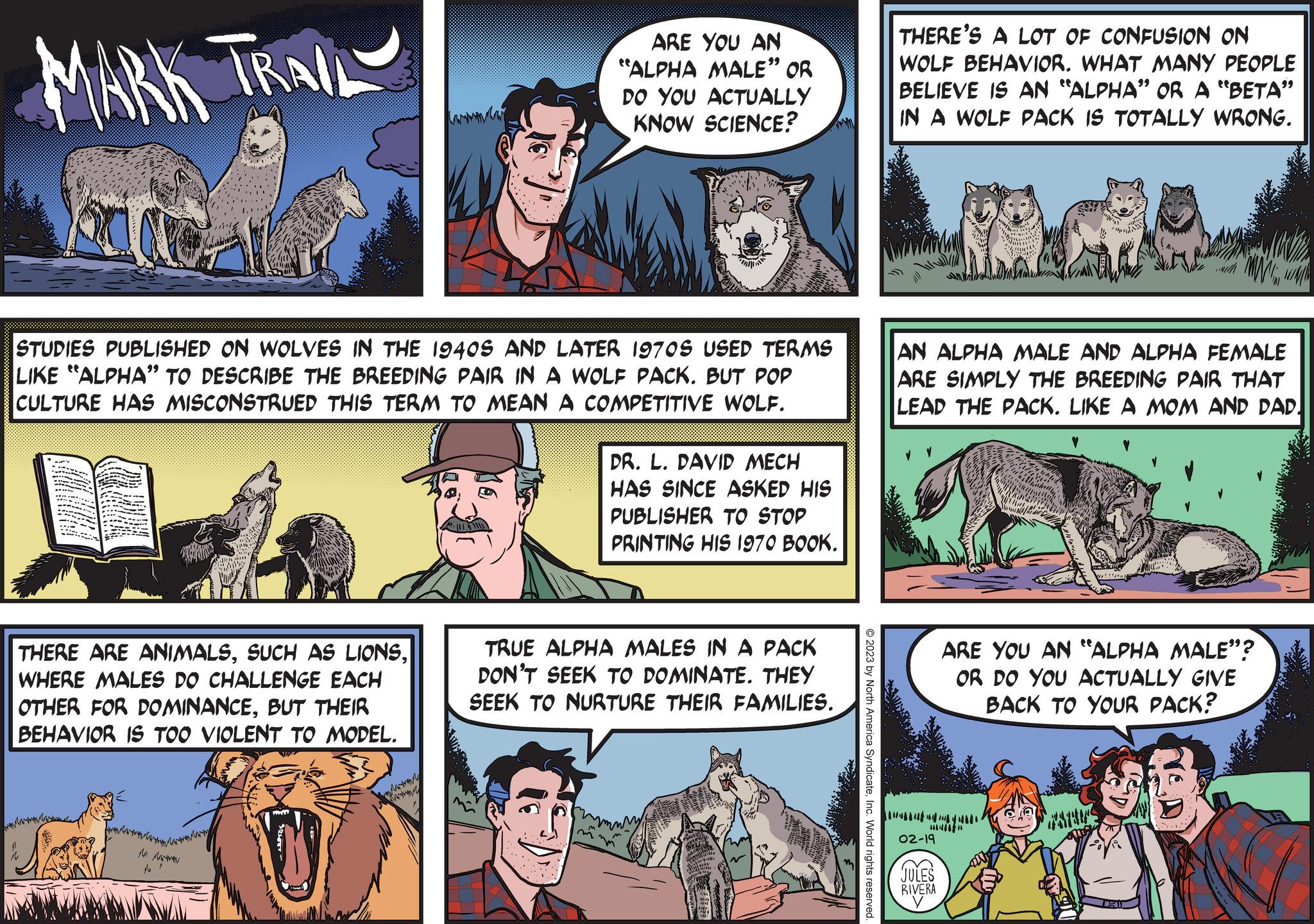 Publication OCR: MARK TRAIL STUDIES PUBLISHED ON WOLVES IN THE 1940S AND LATER 1970S USED TERMS LIKE "ALPHA" TO DESCRIBE THE BREEDING PAIR IN A WOLF PACK. BUT POP CULTURE HAS MISCONSTRUED THIS TERM TO MEAN A COMPETITIVE WOLF. THERE ARE ANIMALSWHERE MALES DO CHALLENGE EACH OTHER FOR DOMINANCEBUT THEIR BEHAVIOR IS TOO VIOLENT TO MODEL. ARE YOU AN "ALPHA MALE" OR DO YOU ACTUALLY KNOW SCIENCE? m DR. L. DAVID MECH HAS SINCE ASKED HIS PUBLISHER TO STOP PRINTING HIS 1970 BOOK. TRUE ALPHA MALES IN A PACK DON'T SEEK TO DOMINATE. THEY SEEK TO NURTURE THEIR FAMILIES. © 2023 by North America SyndicateInc. World rights reserved. THERE'S A LOT OF CONFUSION ON WOLF BEHAVIOR. WHAT MANY PEOPLE BELIEVE IS AN "ALPHA" OR A "BETA" IN A WOLF PACK IS TOTALLY WRONG. AN ALPHA MALE AND ALPHA FEMALE ARE SIMPLY THE BREEDING PAIR THAT LEAD THE PACK. LIKE A MOM AND DAD 02-19 JULES RIVERA ARE YOU AN "ALPHA MALE"? OR DO YOU ACTUALLY GIVE BACK TO YOUR PACK? 7K MARK TRAIL STUDIES PUBLISHED ON WOLVES IN THE 1940S AND LATER 1970S USED TERMS LIKE " ALPHA " TO DESCRIBE THE BREEDING PAIR IN A WOLF PACK . BUT POP CULTURE HAS MISCONSTRUED THIS TERM TO MEAN A COMPETITIVE WOLF . THERE ARE ANIMALSSUCH AS LIONSWHERE MALES DO CHALLENGE EACH OTHER FOR DOMINANCEBUT THEIR BEHAVIOR IS TOO VIOLENT TO MODEL . ARE YOU AN " ALPHA MALE " OR DO YOU ACTUALLY KNOW SCIENCE ? m DR . L. DAVID MECH HAS SINCE ASKED HIS PUBLISHER TO STOP PRINTING HIS 1970 BOOK . TRUE ALPHA MALES IN A PACK DON'T SEEK TO DOMINATE . THEY SEEK TO NURTURE THEIR FAMILIES . © 2023 by North America SyndicateInc. World rights reserved . THERE'S A LOT OF CONFUSION ON WOLF BEHAVIOR . WHAT MANY PEOPLE BELIEVE IS AN " ALPHA " OR A " BETA " IN A WOLF PACK IS TOTALLY WRONG . AN ALPHA MALE AND ALPHA FEMALE ARE SIMPLY THE BREEDING PAIR THAT LEAD THE PACK . LIKE A MOM AND DAD 02-19 JULES RIVERA ARE YOU AN " ALPHA MALE " ? OR DO YOU ACTUALLY GIVE BACK TO YOUR PACK ? 7K