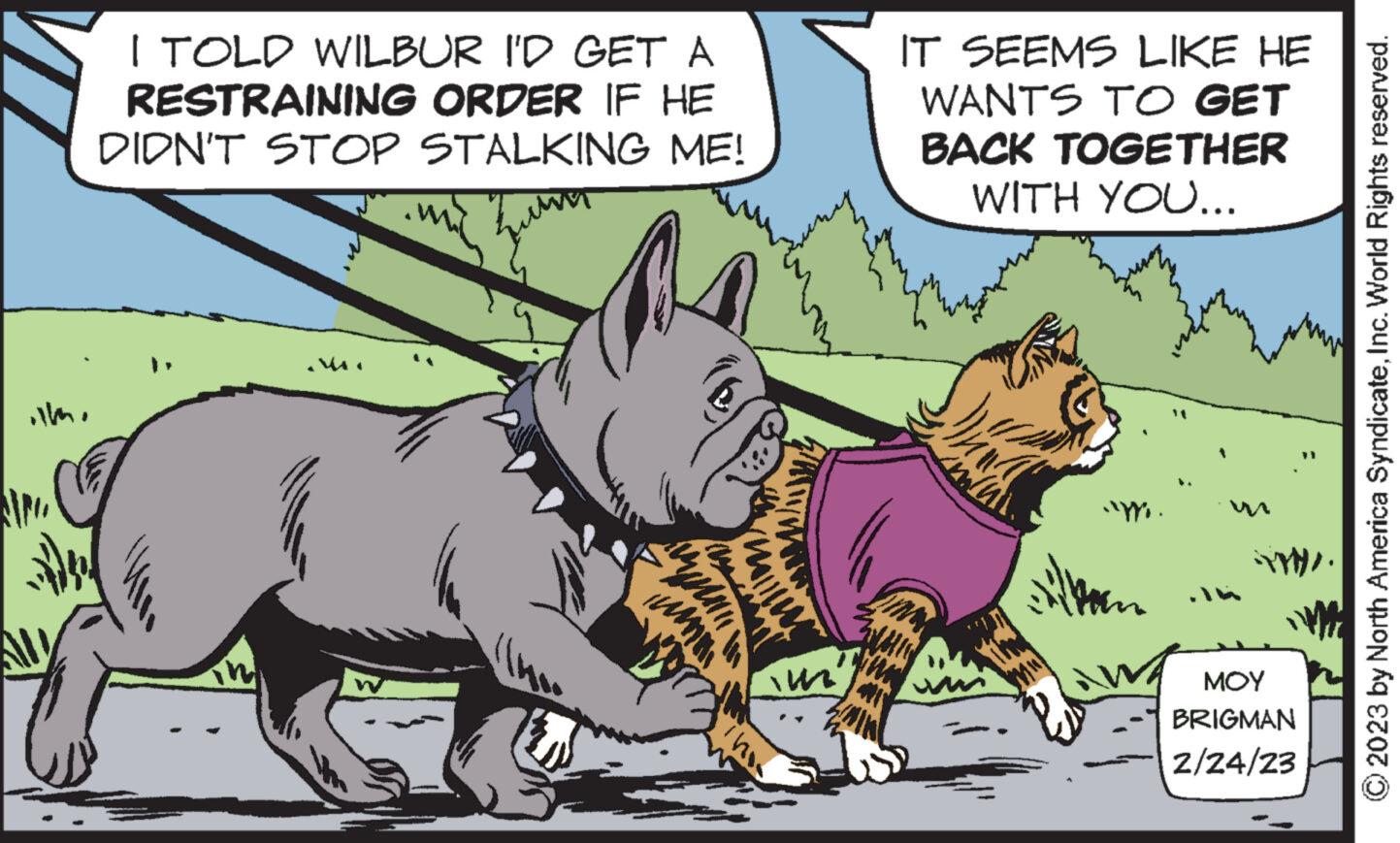 Fictional character OCR: I TOLD WILBUR I'D GET A RESTRAINING ORDER IF HE DIDN'T STOP STALKING ME! www ilm. tyn uma milim IT SEEMS LIKE HE WANTS TO GET BACK TOGETHER WITH YOU... YUM will ``. ??? BRIGMAN 2/24/23 © 2023 by North America SyndicateInc. World Rights reserved. I TOLD WILBUR I'D GET A RESTRAINING ORDER IF HE DIDN'T STOP STALKING ME ! www ilm . tyn uma milim IT SEEMS LIKE HE WANTS TO GET BACK TOGETHER WITH YOU ... YUM will ` ` . ??? BRIGMAN 2/24/23 © 2023 by North America SyndicateInc. World Rights reserved .