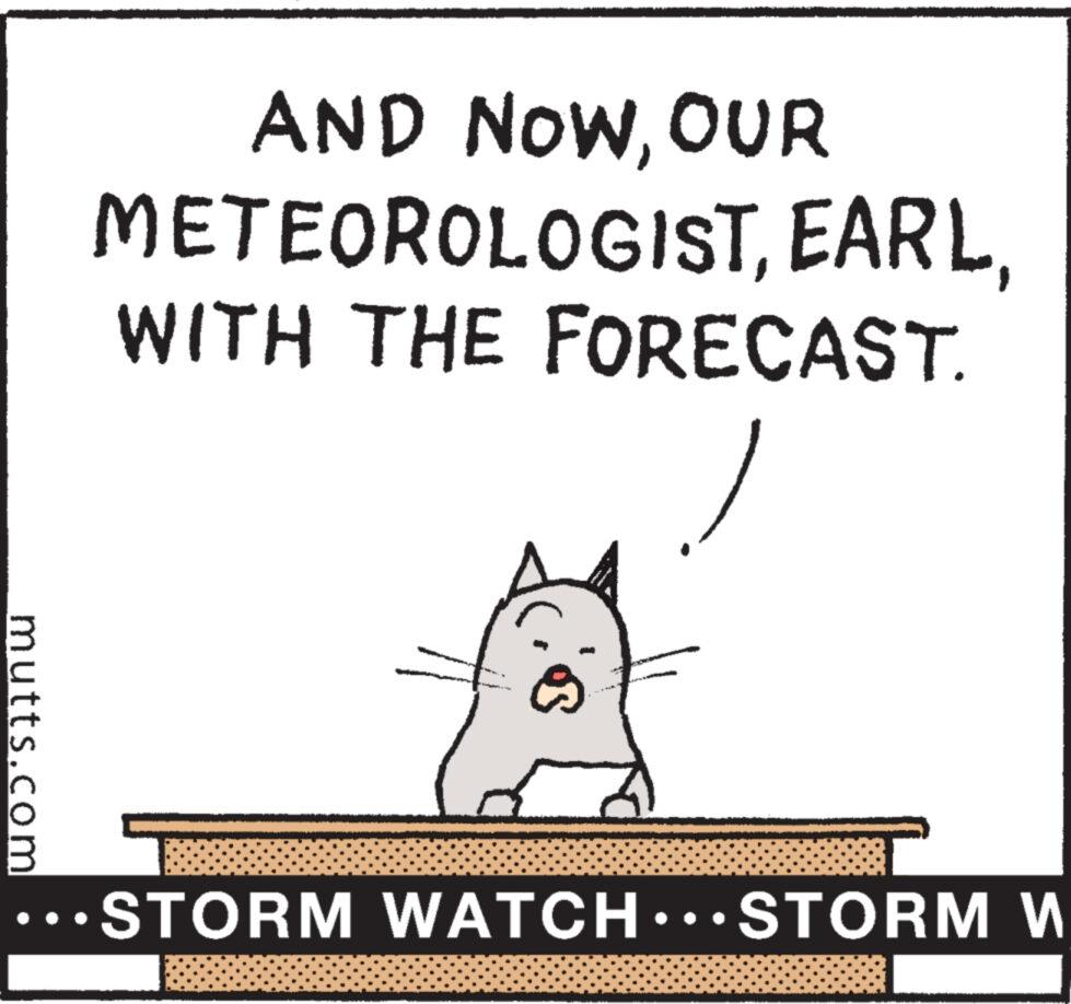 Illustration OCR: mutts.com AND NOWOUR METEOROLOGISTWITH THE FORECAST. oper cios STORM WATCH... STORM W mutts.com AND NOWOUR METEOROLOGISTWITH THE FORECAST . oper cios STORM WATCH ... STORM W