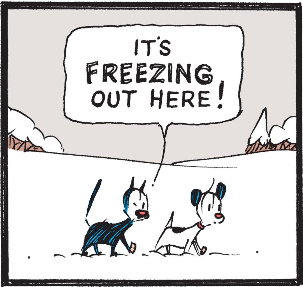 Carnivore OCR: ... M IT'S FREEZING OUT HERE! ! P My ... M IT'S FREEZING OUT HERE ! ! P My