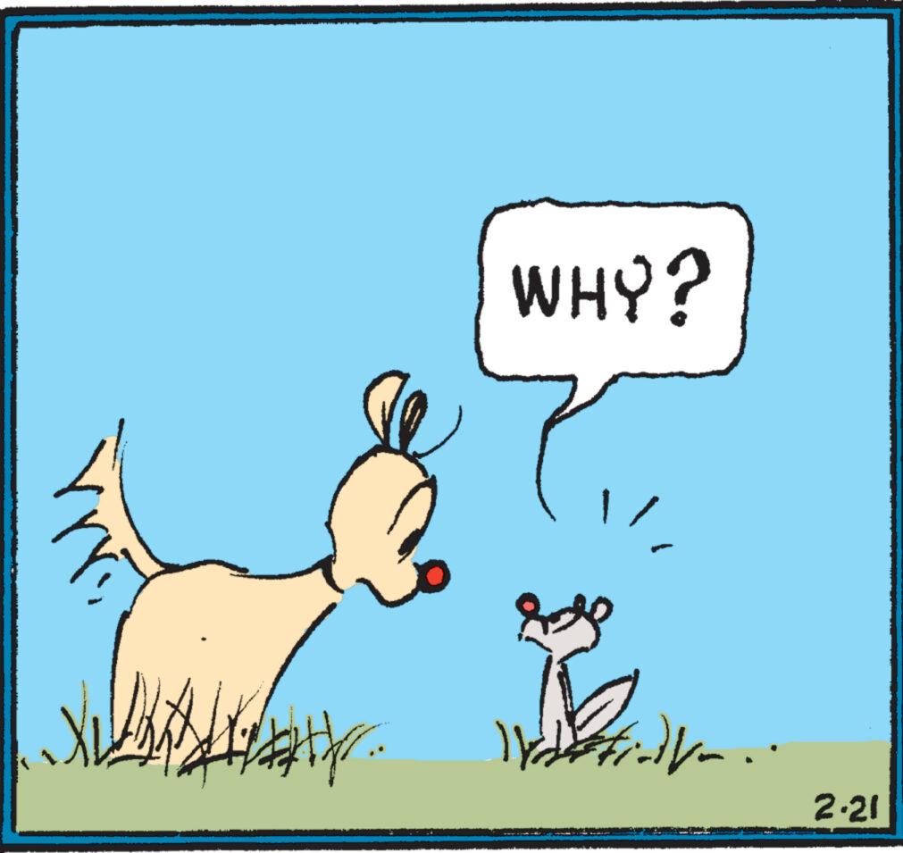 Terrestrial animal OCR: W r WHY? 16 ihm. 2.21 W r WHY ? 16 ihm . 2.21
