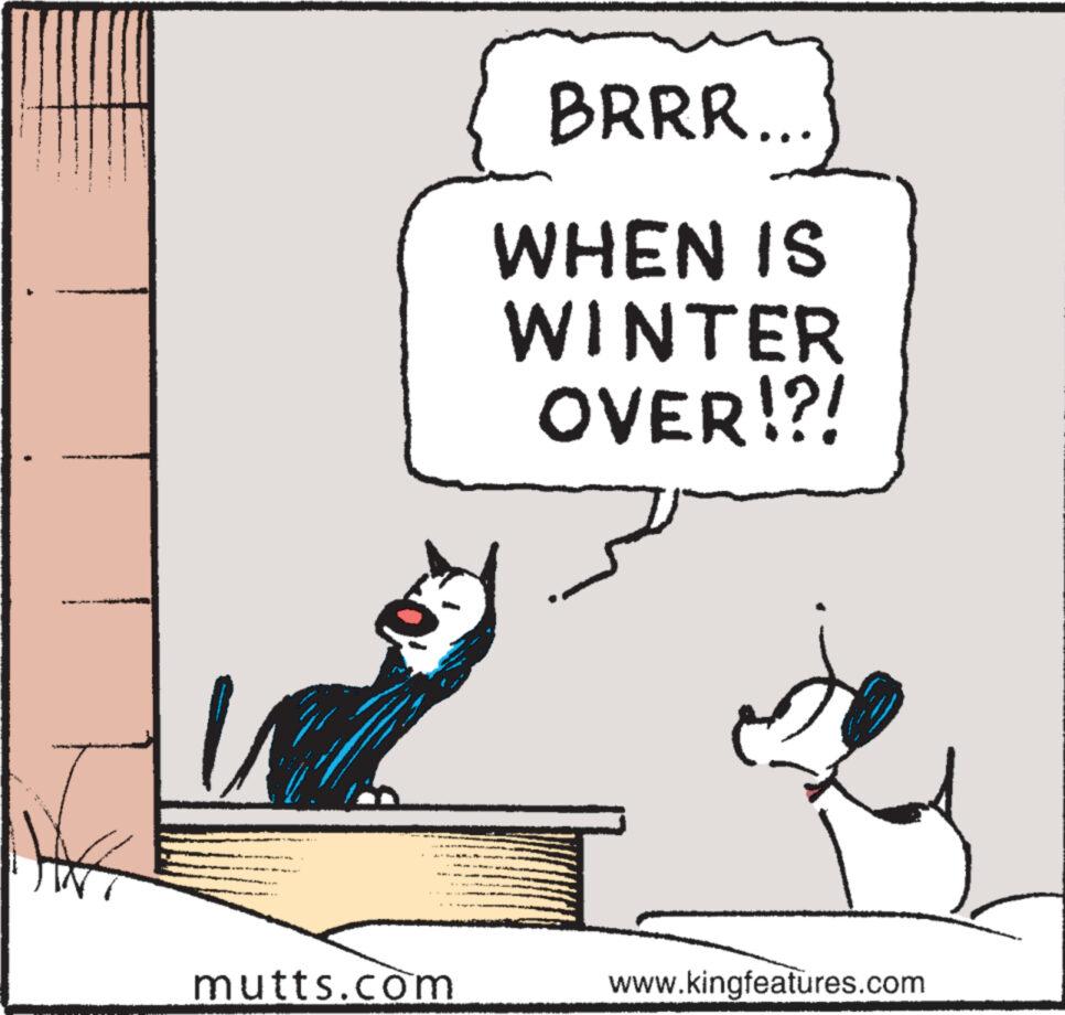 Illustration OCR: mutts.com BRRR... WHEN IS WINTER OVER!?! www.kingfeatures.com mutts.com BRRR ... WHEN IS WINTER OVER ! ? ! www.kingfeatures.com