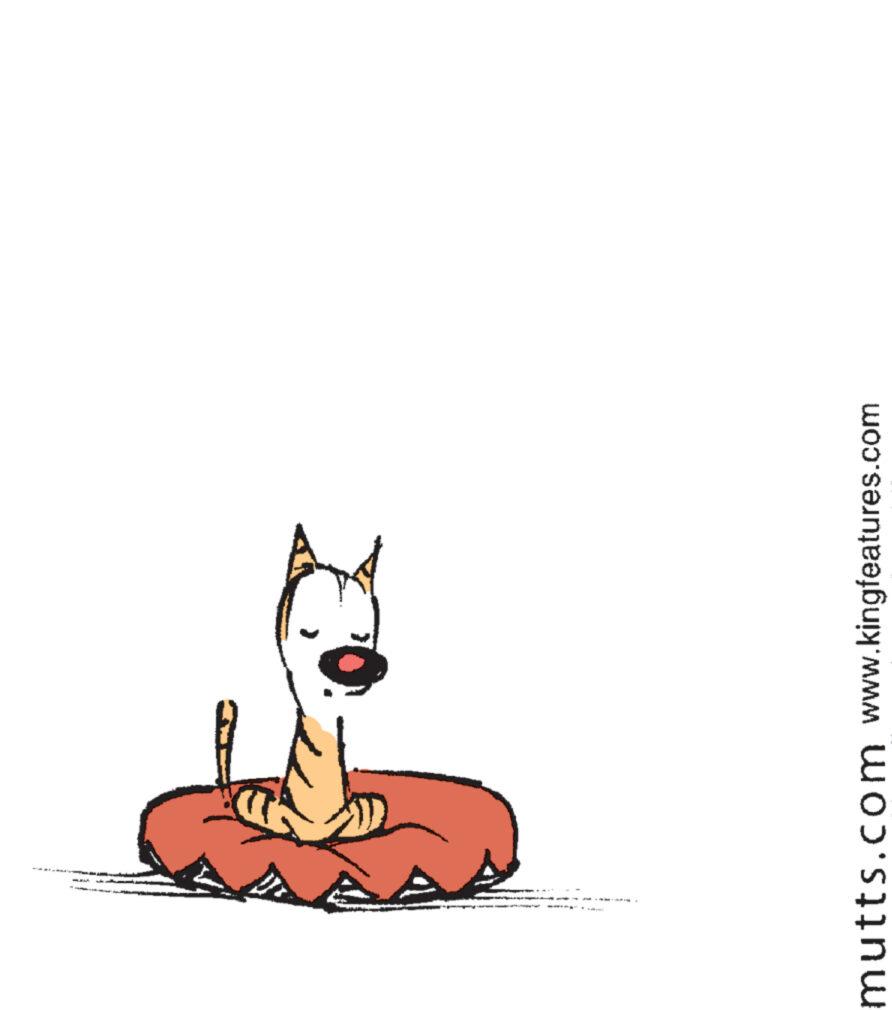 Painting OCR: mutts.com www.kingfeatures.com mutts.com www.kingfeatures.com
