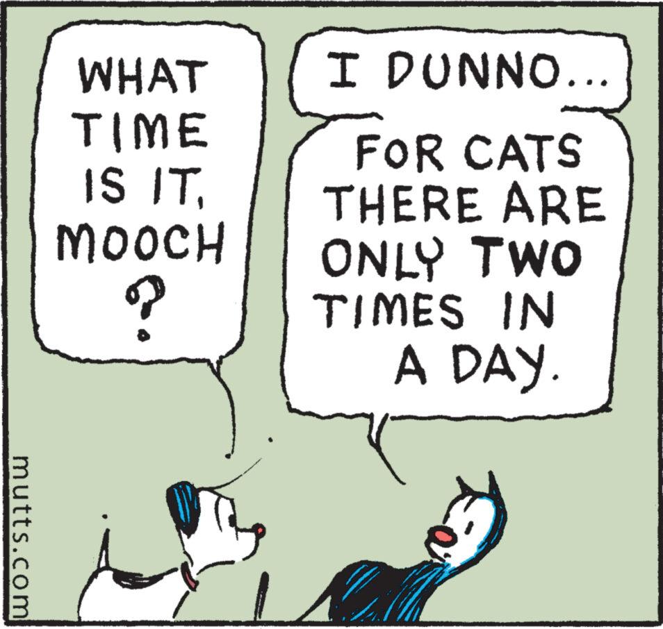 Happy OCR: mutts.com WHAT TIME IS ITMOOCH ? I DUNNO... FOR CATS THERE ARE ONLY TWO TIMES IN A DAY. mutts.com WHAT TIME IS ITMOOCH ? I DUNNO ... FOR CATS THERE ARE ONLY TWO TIMES IN A DAY .