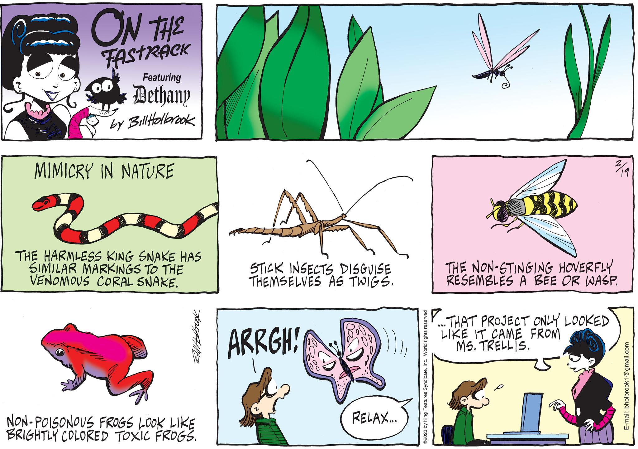 Terrestrial plant OCR: ON THE TASTRACK Featuring Dethany by Bill Holbrook MIMICRY IN NATURE THE HARMLESS KING SNAKE HAS SIMILAR MARKINGS TO THE VENOMOUS CORAL SNAKE. NON-POISONOUS FROGS LOOK LIKE BRIGHTLY COLORED TOXIC FROGS. STICK INSECTS DISGUISE THEMSELVES AS TWIGS. ARRGH! RELAX... ©2023 by King Features SyndicateInc. World rights reserved P 2/19 THE NON-STINGING HOVERFLY RESEMBLES A BEE OR WASP. ...THAT PROJECT ONLY LOOKED LIKE IT CAME FROM MS. TRELLIS. E-mail: bholbrook1@gmail.com ON THE TASTRACK Featuring Dethany by Bill Holbrook MIMICRY IN NATURE THE HARMLESS KING SNAKE HAS SIMILAR MARKINGS TO THE VENOMOUS CORAL SNAKE . NON - POISONOUS FROGS LOOK LIKE BRIGHTLY COLORED TOXIC FROGS . STICK INSECTS DISGUISE THEMSELVES AS TWIGS . ARRGH ! RELAX ... © 2023 by King Features SyndicateInc. World rights reserved P 2/19 THE NON - STINGING HOVERFLY RESEMBLES A BEE OR WASP . ... THAT PROJECT ONLY LOOKED LIKE IT CAME FROM MS . TRELLIS . E - mail : bholbrook1@gmail.com