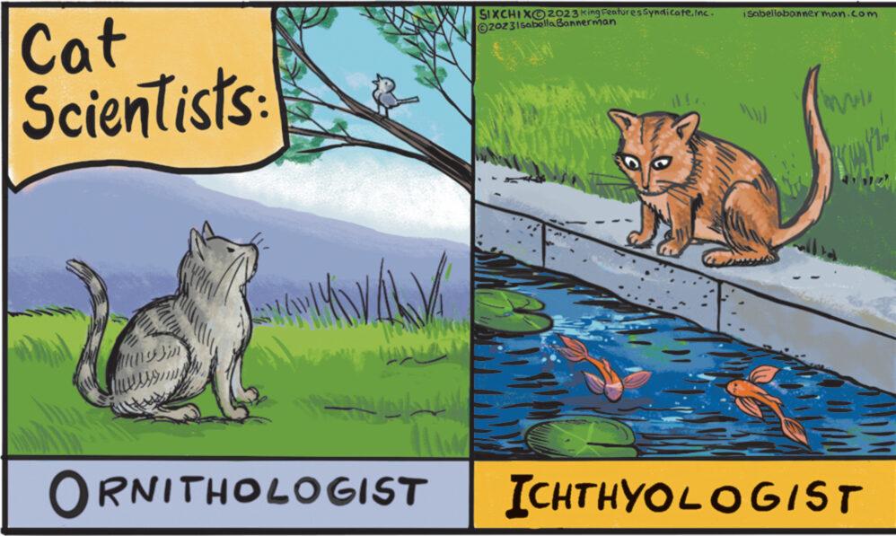 Whiskers OCR: Cat Scientists ????/// www.s NAV SIXCHIXO2023 King Features SyndicateInc. ?2023Isabella Bannerman Sabellobannerman.com www. ORNITHOLOGIST ICHTHYOLOGIST Cat Scientists ???? /// www.s NAV SIXCHIXO2023 King Features SyndicateInc. ?2023Isabella Bannerman Sabellobannerman.com www . ORNITHOLOGIST ICHTHYOLOGIST