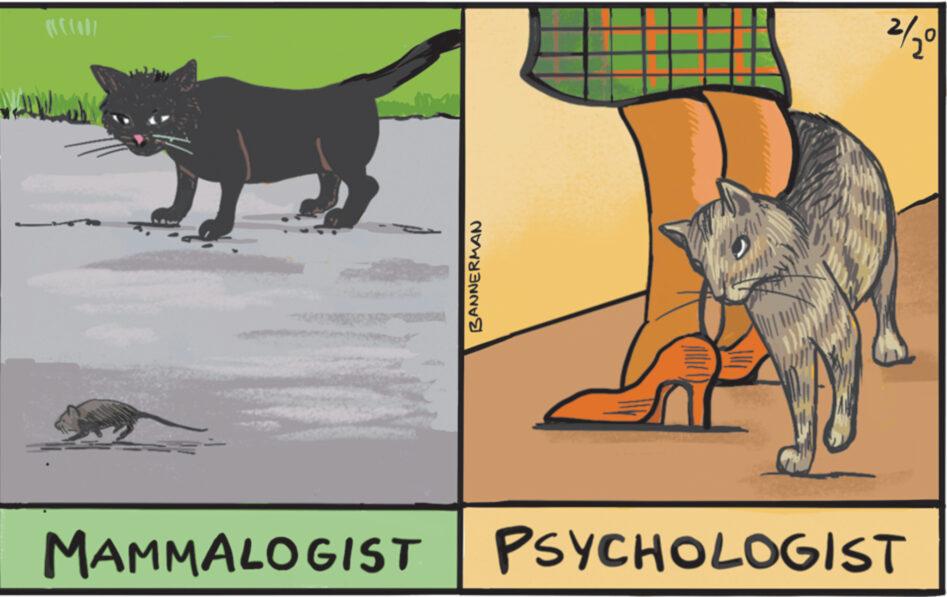 Tail OCR: MAMMALOGIST BANNERMAN AVD 2/20 PSYCHOLOGIST MAMMALOGIST BANNERMAN AVD 2/20 PSYCHOLOGIST