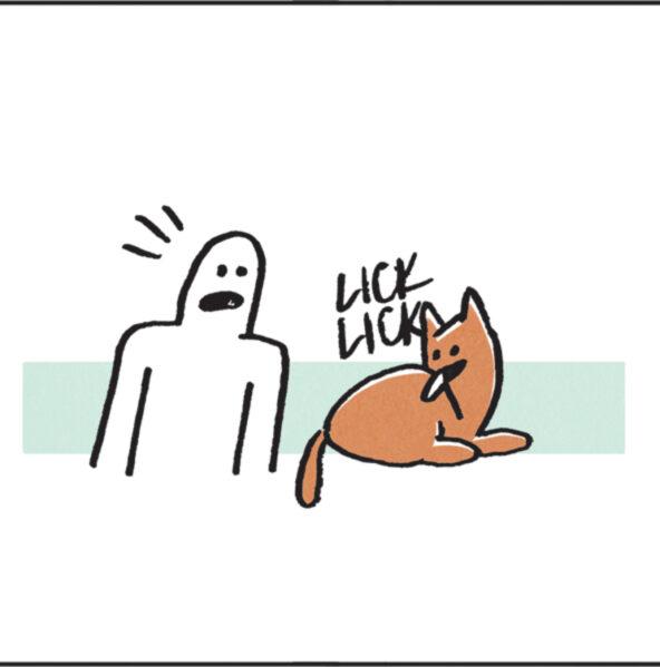 Terrestrial animal OCR: // LICK ???? // LICK ????