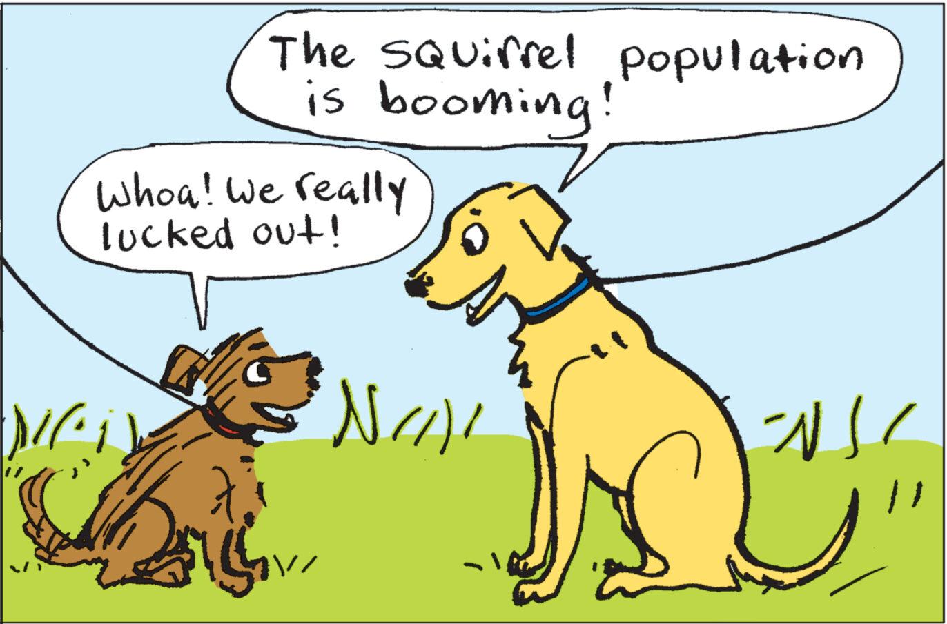 Working animal OCR: Whoa! We really lucked out! //?The Squirrel population is booming! ?? ///?? 212 Whoa ! We really lucked out ! // ?The Squirrel population is booming ! ?? /// ?? 212