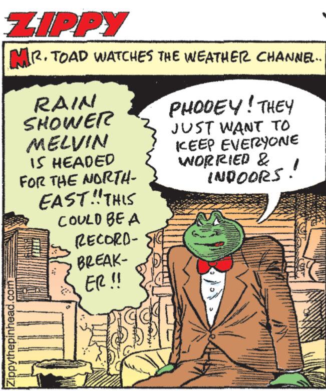 Illustration OCR: ZIPPY MR. TOAD WATCHES THE WEATHER CHANNEL.. Zippythepinhead.com RAIN SHOWER MELVIN IS HEADED FOR THE NORTH- EAST!! THIS COULD BE A RECORD- BREAK- ER!! PHODEY! THEY JUST WANT TO KEEP EVERYONE WORRIED & INDOORS! 33 www. www ZIPPY MR . TOAD WATCHES THE WEATHER CHANNEL .. Zippythepinhead.com RAIN SHOWER MELVIN IS HEADED FOR THE NORTH EAST !! THIS COULD BE A RECORD BREAK ER !! PHODEY ! THEY JUST WANT TO KEEP EVERYONE WORRIED & INDOORS ! 33 www . www