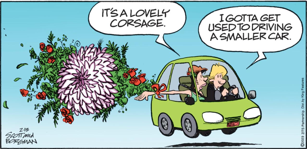 Cartoon OCR: ja 2.13 SCOTT and BORGMAN IT'S A LOVELY CORSAGE. I GOTTA GET USED TO DRIVING A SMALLER CAR. ?2023 ZITS Partnership. Dist. by King Features ja 2.13 SCOTT and BORGMAN IT'S A LOVELY CORSAGE . I GOTTA GET USED TO DRIVING A SMALLER CAR . ?2023 ZITS Partnership . Dist . by King Features