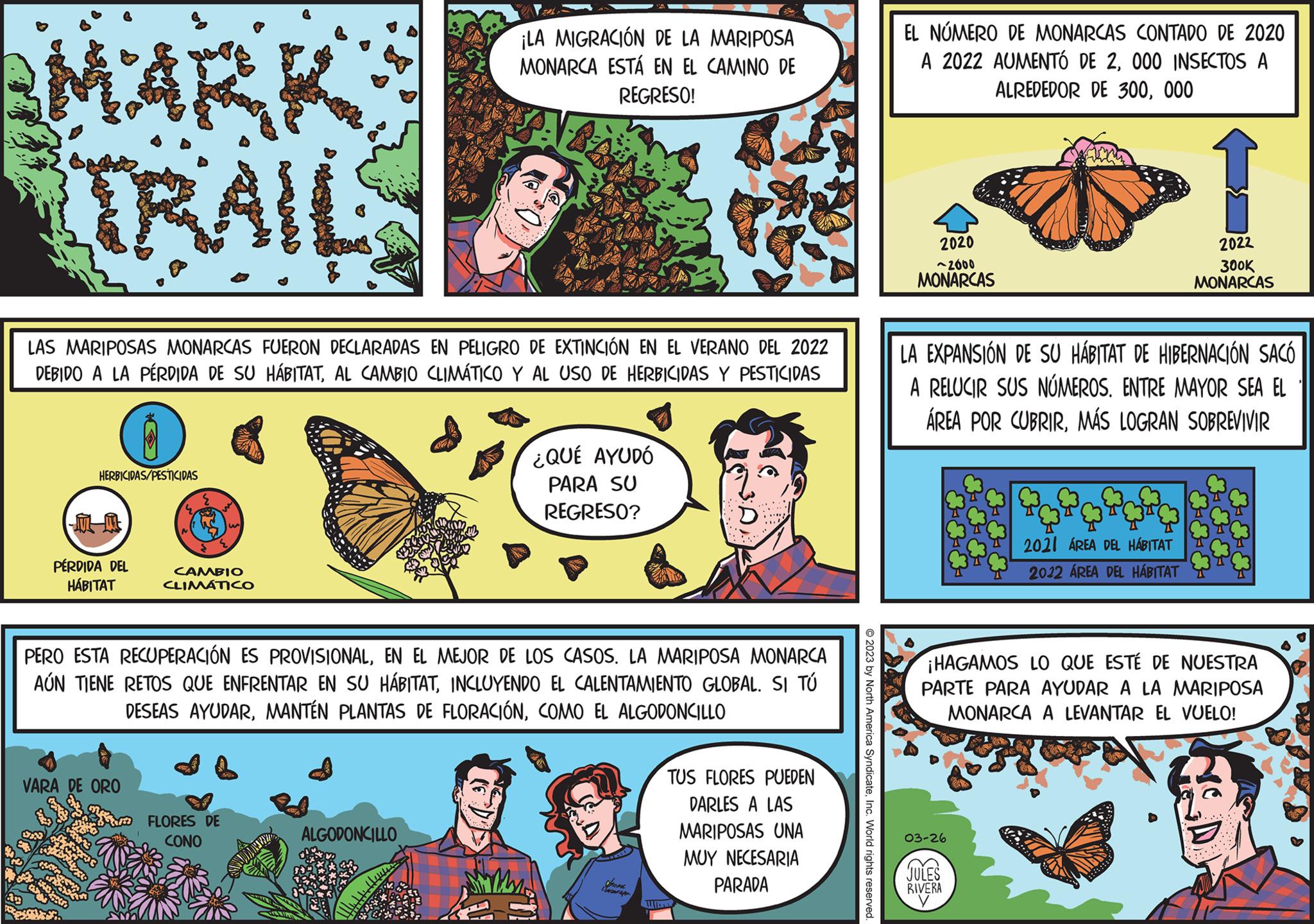 Adaptation OCR: MARKE TRAILS S LAS MARIPOSAS MONARCAS FUERON DECLARADAS EN PELIGRO DE EXTINCIÓN EN EL VERANO DEL 2022 DEBIDO A LA PÉRDIDA DE SU HÁBITATAL CAMBIO CLIMÁTICO Y AL USO DE HERBICIDAS Y PESTICIDAS ww you PÉRDIDA DEL HÁBITAT VARA DE ORO 5 HERBICIDAS/PESTICIDAS J GAR he w CAMBIO CLIMÁTICO PERO ESTA RECUPERACIÓN ES PROVISIONALEN EL MEJOR DE LOS CASOS. LA MARIPOSA MONARCA AÚN TIENE RETOS QUE ENFRENTAR EN SU HÁBITATINCLUYENDO EL CALENTAMIENTO GLOBAL. SI TÚ DESEAS AYUDARCOMO EL ALGODONCILLO FLORES DE CONO ¡LA MIGRACIÓN DE LA MARIPOSA MONARCA ESTÁ EN EL CAMINO DE REGRESO! ALGODONCILLO ¿QUÉ AYUDÓ PARA SU REGRESO? LONDER A TUS FLORES PUEDEN DARLES A LAS MARIPOSAS UNA MUY NECESARIA PARADA THDAY © 2023 by North America SyndicateInc. World rights reserved. EL NÚMERO DE MONARCAS CONTADO DE 2020 A 2022 AUMENTÓ DE 2000 INSECTOS A ALREDEDOR DE 300000 2020 ~2000 MONARCAS LA EXPANSIÓN DE SU HÁBITAT DE HIBERNACIÓN SACÓ A RELUCIR SUS NÚMEROS. ENTRE MAYOR SEA EL ÁREA POR CUBRIRMÁS LOGRAN SOBREVIVIR 03-26 1 2022 300K MONARCAS Tor 2021 ÁREA DEL HÁBITAT 2022 ÁREA DEL HÁBITAT ¡HAGAMOS LO QUE ESTÉ DE NUESTRA PARTE PARA AYUDAR A LA MARIPOSA MONARCA A LEVANTAR EL VUELO! JULES RIVERA y S MARKE TRAILS S LAS MARIPOSAS MONARCAS FUERON DECLARADAS EN PELIGRO DE EXTINCIÓN EN EL VERANO DEL 2022 DEBIDO A LA PÉRDIDA DE SU HÁBITATAL CAMBIO CLIMÁTICO Y AL USO DE HERBICIDAS Y PESTICIDAS ww you PÉRDIDA DEL HÁBITAT VARA DE ORO 5 HERBICIDAS / PESTICIDAS J GAR he w CAMBIO CLIMÁTICO PERO ESTA RECUPERACIÓN ES PROVISIONALEN EL MEJOR DE LOS CASOS . LA MARIPOSA MONARCA AÚN TIENE RETOS QUE ENFRENTAR EN SU HÁBITATINCLUYENDO EL CALENTAMIENTO GLOBAL . SI TÚ DESEAS AYUDARMANTÉN PLANTAS DE FLORACIÓNCOMO EL ALGODONCILLO FLORES DE CONO ¡ LA MIGRACIÓN DE LA MARIPOSA MONARCA ESTÁ EN EL CAMINO DE REGRESO ! ALGODONCILLO ¿ QUÉ AYUDÓ PARA SU REGRESO ? LONDER A TUS FLORES PUEDEN DARLES A LAS MARIPOSAS UNA MUY NECESARIA PARADA THDAY © 2023 by North America SyndicateInc. World rights reserved . EL NÚMERO DE MONARCAS CONTADO DE 2020 A 2022 AUMENTÓ DE 2000 INSECTOS A ALREDEDOR DE 300000 2020 ~ 2000 MONARCAS LA EXPANSIÓN DE SU HÁBITAT DE HIBERNACIÓN SACÓ A RELUCIR SUS NÚMEROS . ENTRE MAYOR SEA EL ÁREA POR CUBRIRMÁS LOGRAN SOBREVIVIR 03-26 1 2022 300K MONARCAS Tor 2021 ÁREA DEL HÁBITAT 2022 ÁREA DEL HÁBITAT ¡ HAGAMOS LO QUE ESTÉ DE NUESTRA PARTE PARA AYUDAR A LA MARIPOSA MONARCA A LEVANTAR EL VUELO ! JULES RIVERA y S