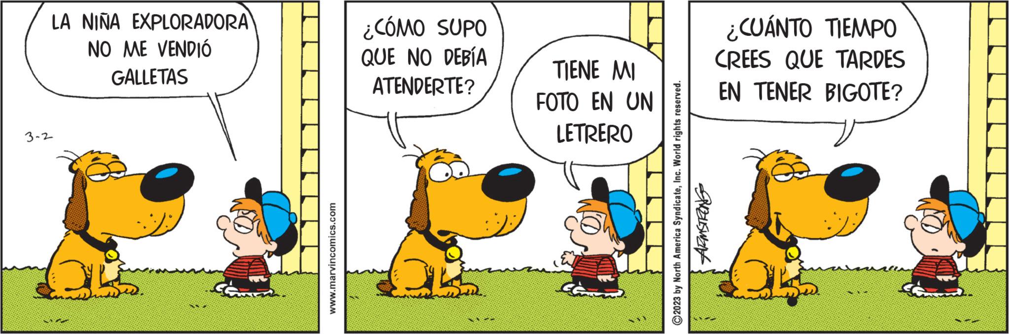 Humour OCR: LA NIÑA EXPLORADORA NO ME VENDIÓ GALLETAS 3-2 OL www.marvincomics.com ¿CÓMO SUPO QUE NO DEBÍA ATENDERTE? OK ** TIENE MI FOTO EN UN LETRERO © 2023 by North America SyndicateInc. World rights reserved. ARMSTRONG ¿CUÁNTO TIEMPO CREES QUE TARDES EN TENER BIGOTE? 3 702 LA NIÑA EXPLORADORA NO ME VENDIÓ GALLETAS 3-2 OL www.marvincomics.com ¿ CÓMO SUPO QUE NO DEBÍA ATENDERTE ? OK ** TIENE MI FOTO EN UN LETRERO © 2023 by North America SyndicateInc. World rights reserved . ARMSTRONG ¿ CUÁNTO TIEMPO CREES QUE TARDES EN TENER BIGOTE ? 3 702