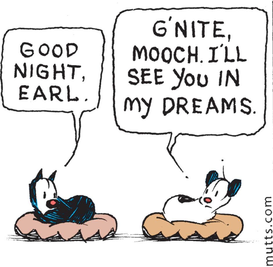 Happy OCR: GOOD NIGHTEARL. A G'NITEMOOCH. I'LL SEE YOU IN my DREAMS. mutts.com GOOD NIGHTEARL . A G'NITEMOOCH . I'LL SEE YOU IN my DREAMS . mutts.com
